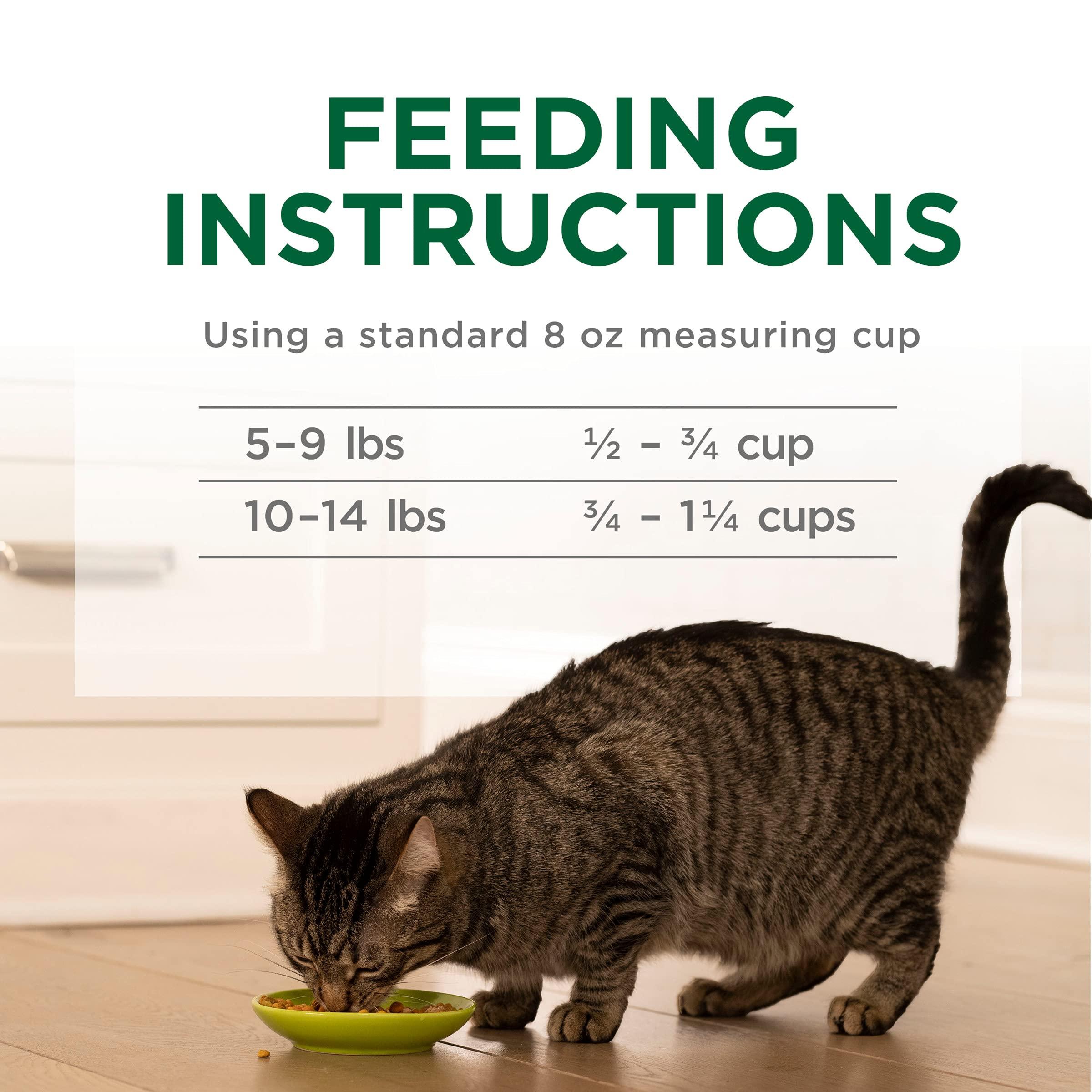 Purina Cat Chow Indoor Dry Cat Food, Hairball + Healthy Weight - (Pack of 4) 3.15 lb. Bags - Image 13