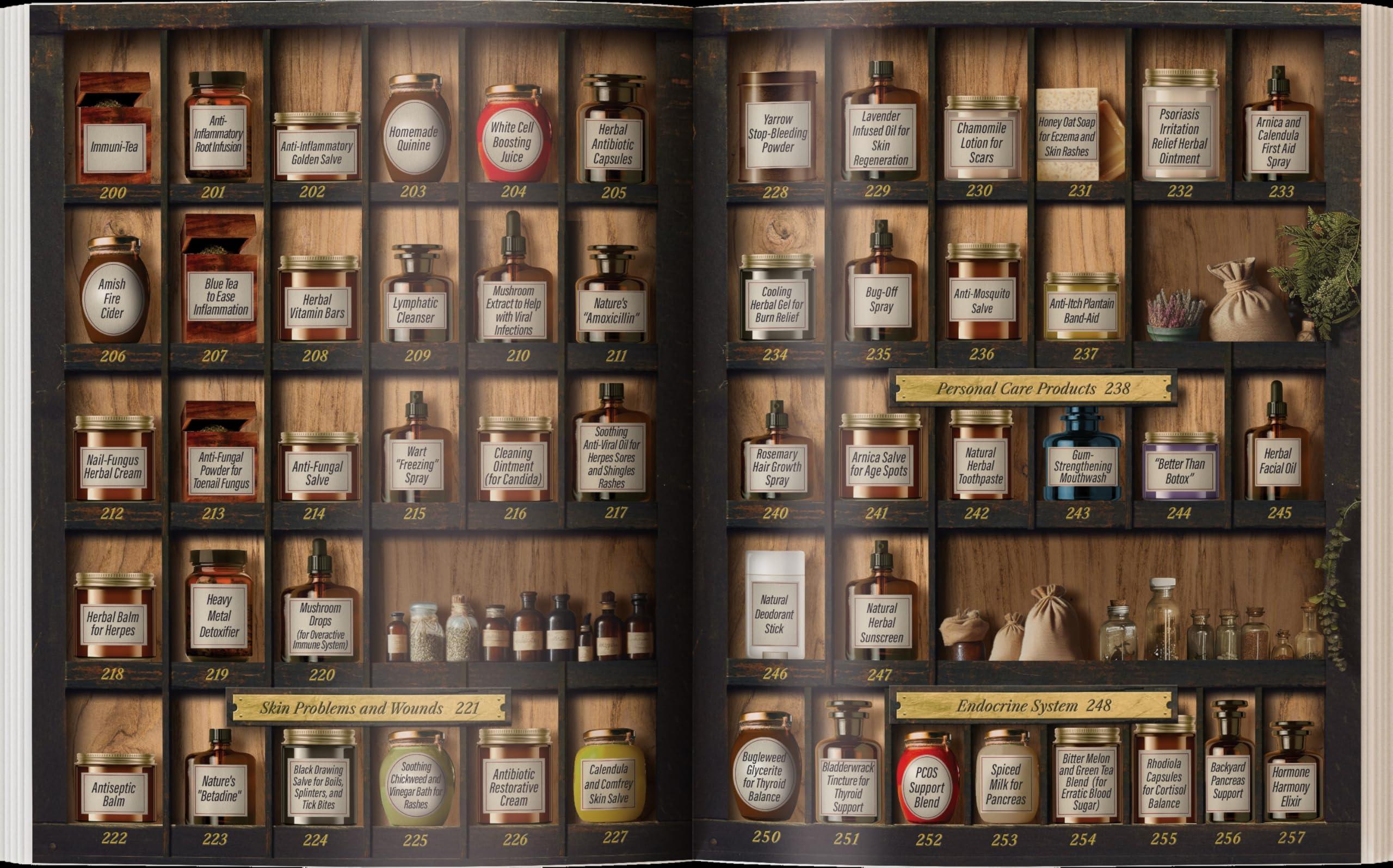 Forgotten Home Apothecary : 250 Powerful Remedies at Your Fingertips - Image 3