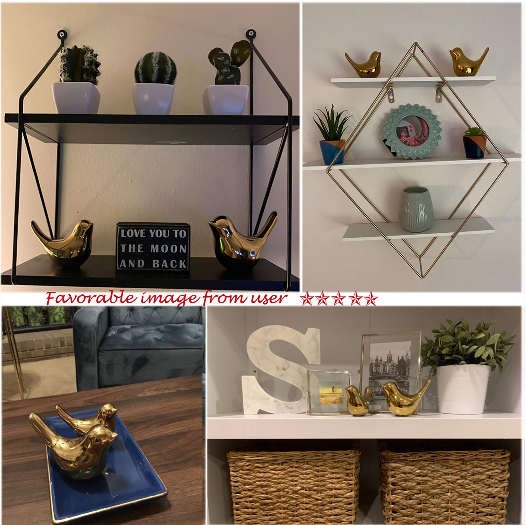 FANTESTICRYAN Small Birds Statues Gold Home Decor Modern Style Figurine Decorative Ornaments for Living Room, Bedroom, Office Desktop, Cabinets - Image 7