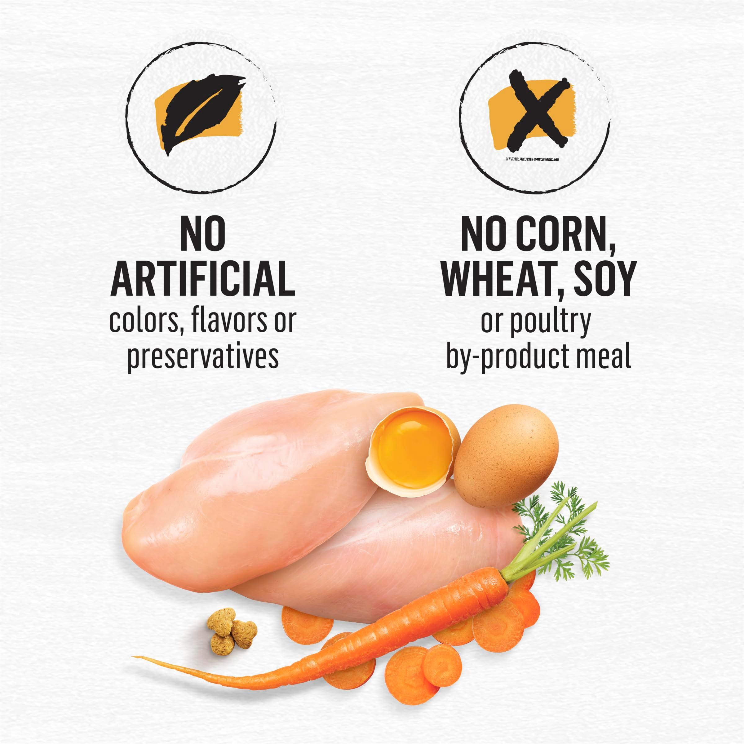 Purina Beyond Grain Free White Meat Chicken and Egg Recipe Natural Cat Food High Protein Cat Food Dry Formula - 5 lb. Bag - Image 9