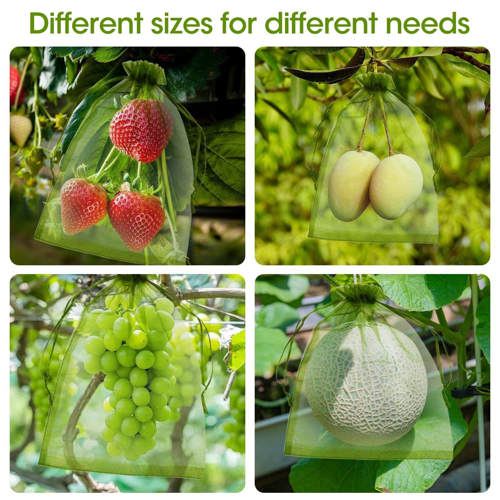 Kikhope 100pcs Fruit Protection Bags 6x9 inch, Fruit Netting Cover Bags with Drawstring Mesh Fruit Protectors Pest Barrier for Mangoes Tomatoes Fruit Trees Veggies Garden, Olive Green - Image 5