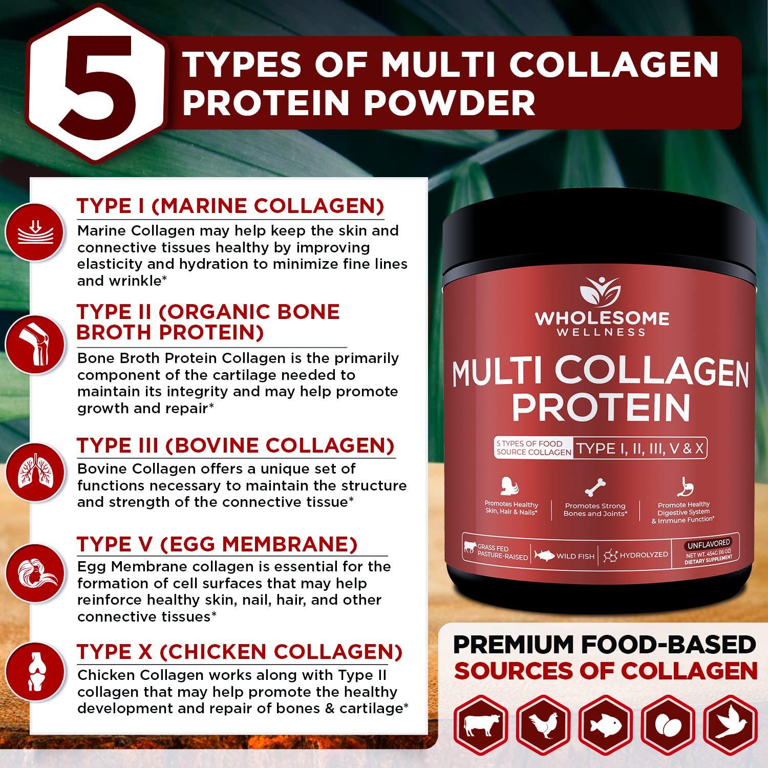 Wholesome Wellness Multi Collagen Protein Powder Hydrolyzed (Type I II III V X) Grass-Fed All-in-One Super Bone Broth + Peptides - Premium Blend of Beef, Chicken, Wild Fish, Eggshell, 58 Servings - Image 5