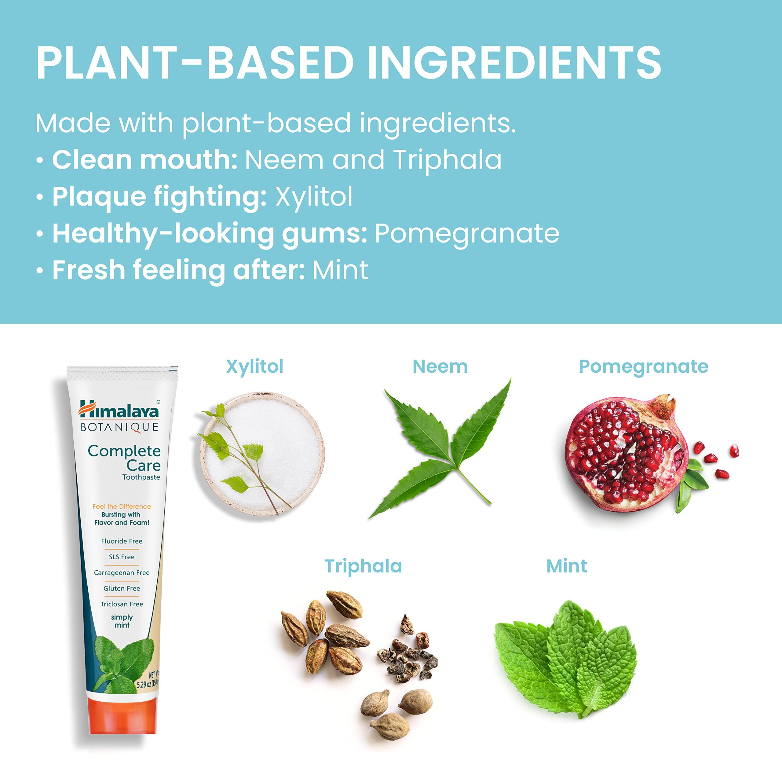 Himalaya Botanique Complete Care Toothpaste with Xylitol and Neem, Mint Flavor - Fluoride Free Toothpaste for Clean Teeth & Fresh Breath - Vegan, Gluten Free, No Artificial Flavors, 5.29 oz - Image 4