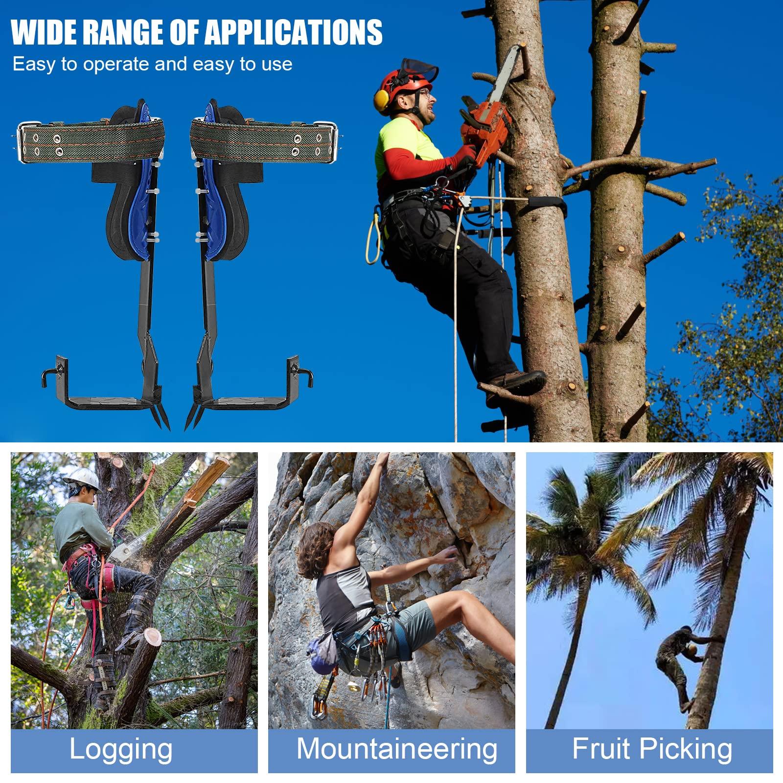 JATCSG Tree Climbing Spikes Set, Tree Climbing Gear with Adjustable Climbing Belt and Upgrade Rope, 304 Stainless Steel Tree Climbing Kit for Sports, Working, Jungle Survival, Picking Fruit - Image 7