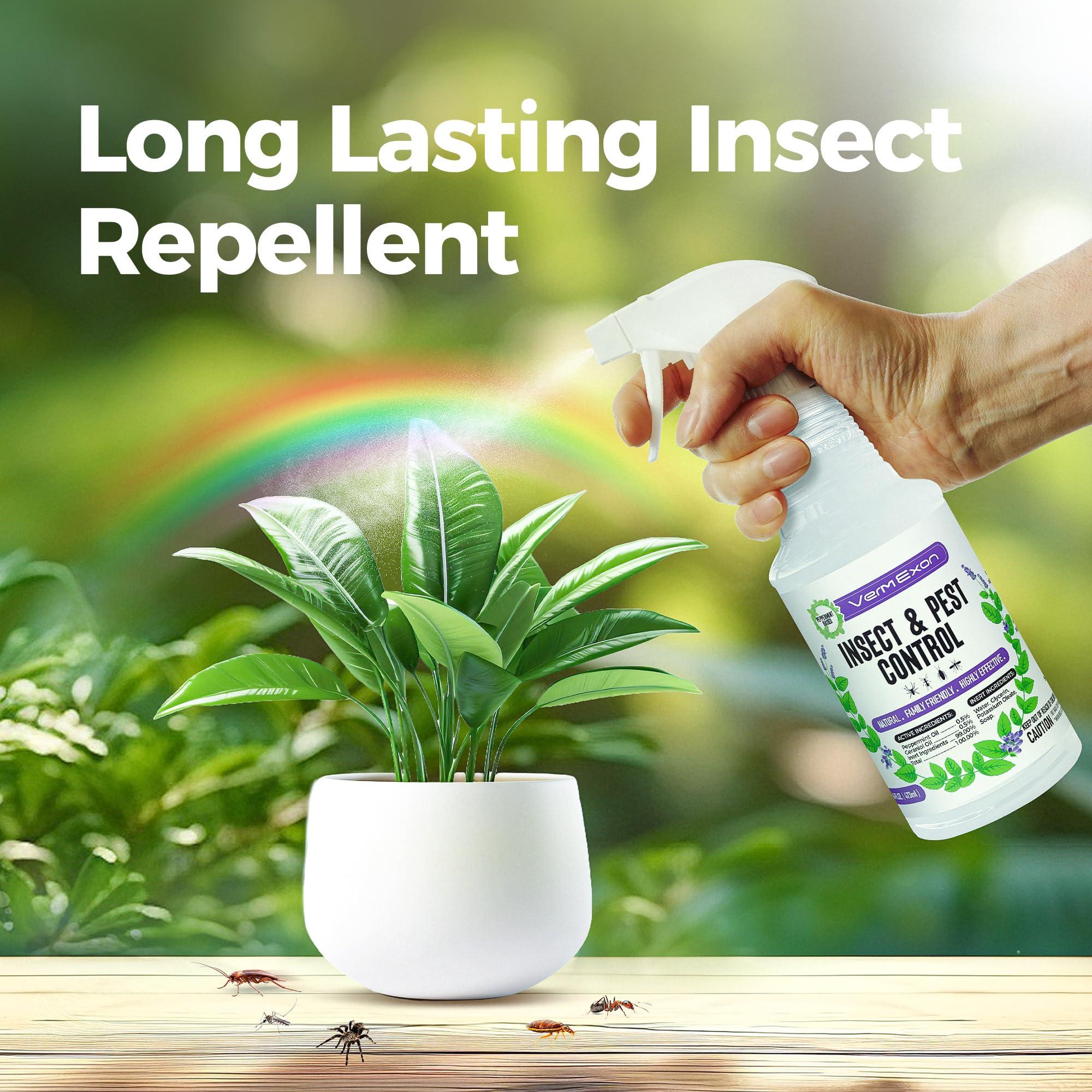 VermExon Peppermint Oil Insect & Pest Control Spray – 16oz Natural Plant-Based Bug Killer for Spiders, Ants, Flies, and Other Insects, Safe for Home & Kitchen Use - Image 2