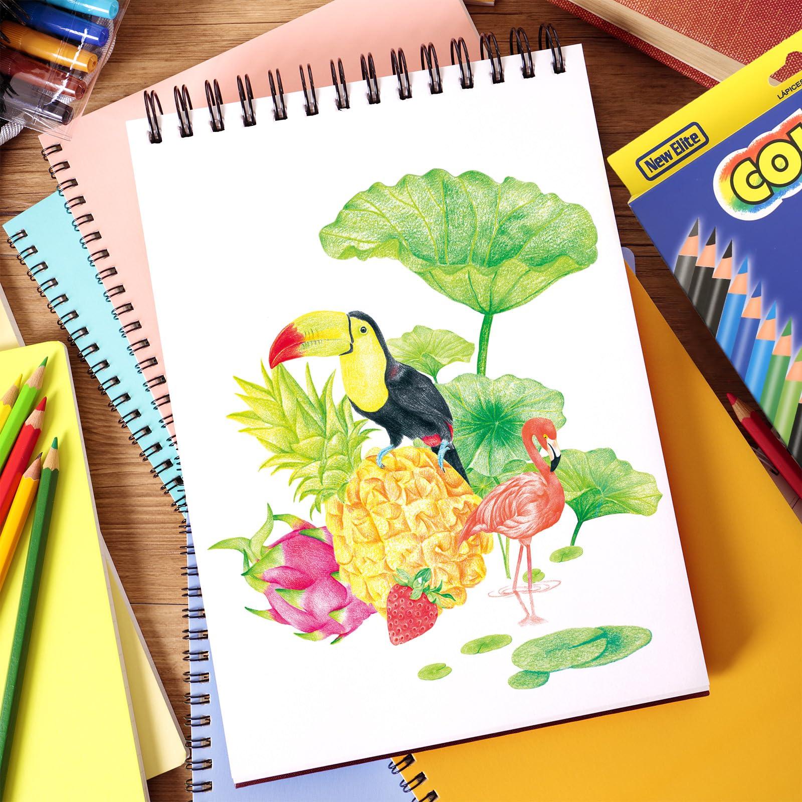 SRISE Colored Pencils for Adult Coloring Books, 48 Colored Pencil Set for Artist Sketching Drawing Pencils ＆ Supplies, Pre-sharpened Coloring Pencils Set for Beginners, Art Supplies for Drawing - Image 2