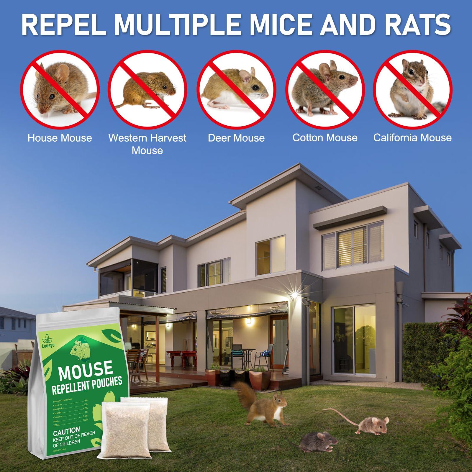 30 Pack Lousye Rodent Repellent, Mighty Mint Mouse Repellent,Humane Mouse Trap for Home, Car Engines, Pest Control for Indoor - Image 4