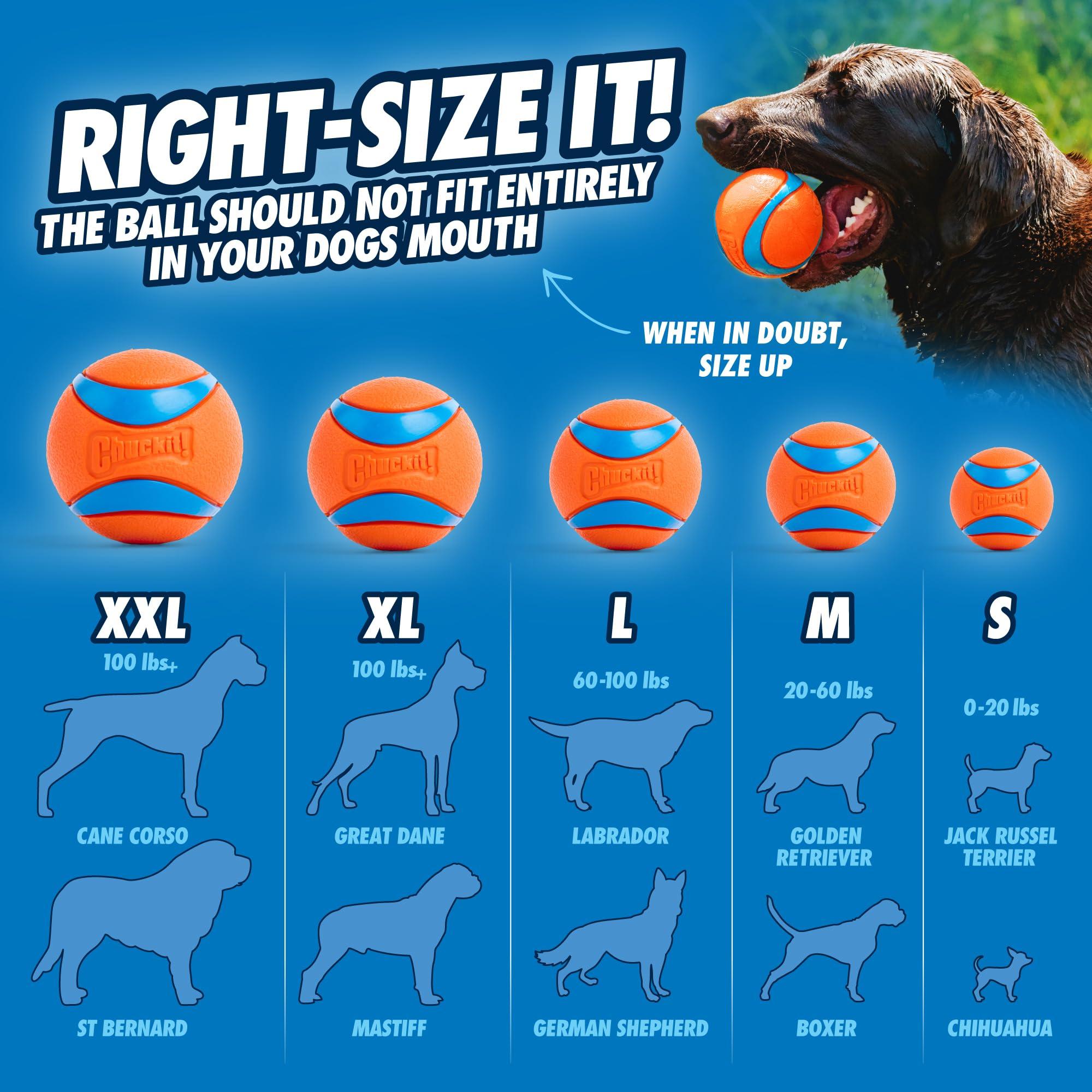 Chuckit Pro Fetch Toy Ball Launcher For Dogs; Compatible With Any Medium Chuckit! Medium Size 25 Inch + Glow Ball - Image 6
