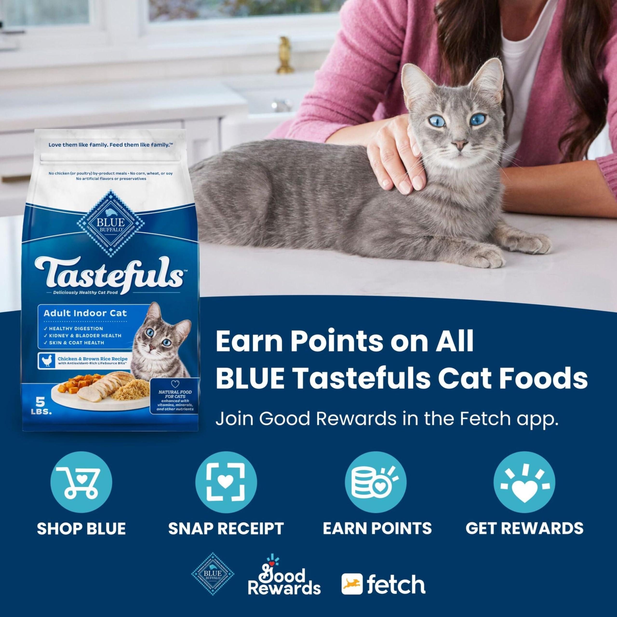 Blue Buffalo Tastefuls Adult Dry Cat Food Sensitive Stomach Formula, Made in the USA with Natural Ingredients, Chicken Recipe, 7-lb. Bag - Image 3