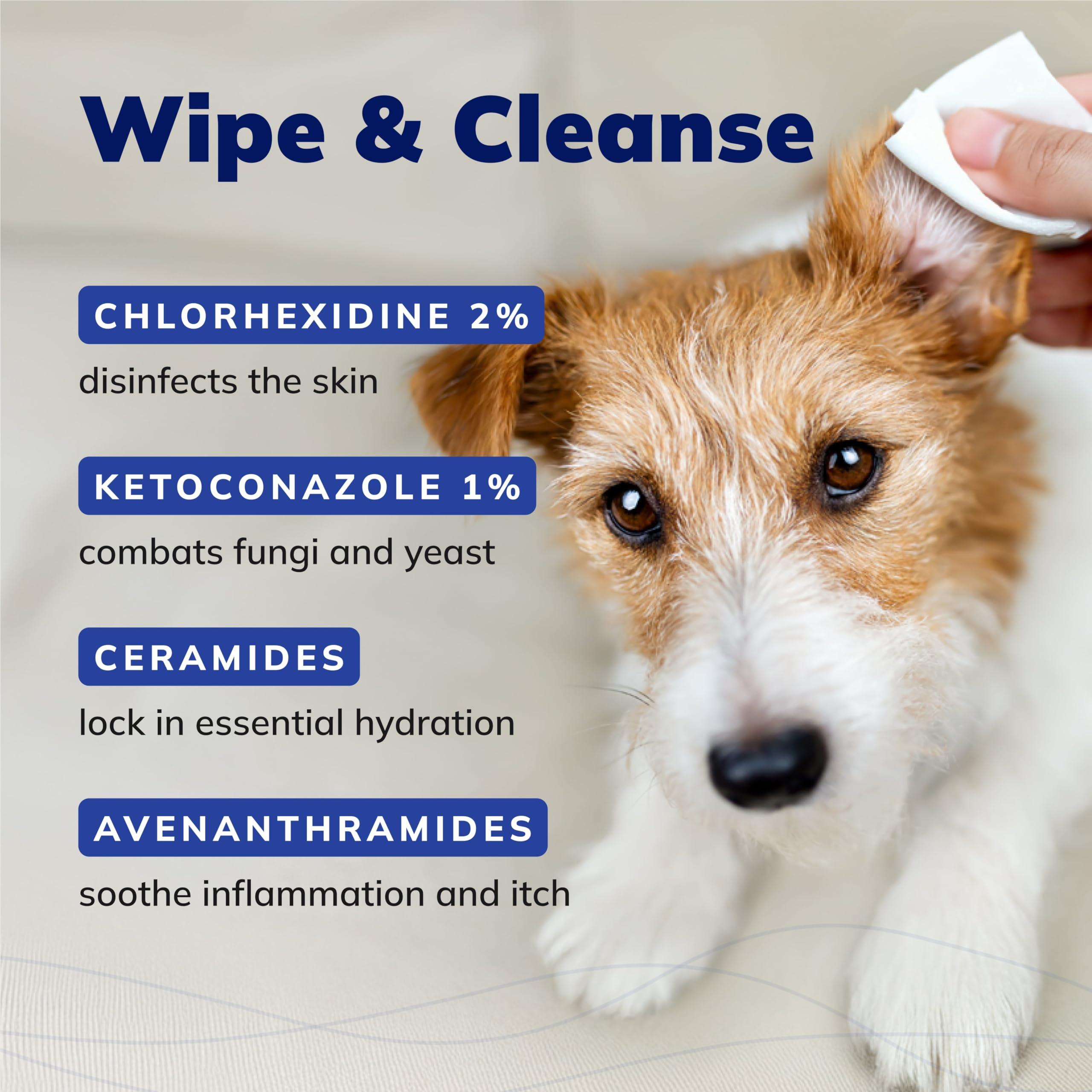 CeraSoothe CHX+KET Antiseptic Wipes Formulated for Dogs, Cats, & Horses – Chlorhexidine & Ketoconazole Medicated Pet Wipes – Antibacterial & Antifungal Skin Care for Pets – 30 Count - Image 5