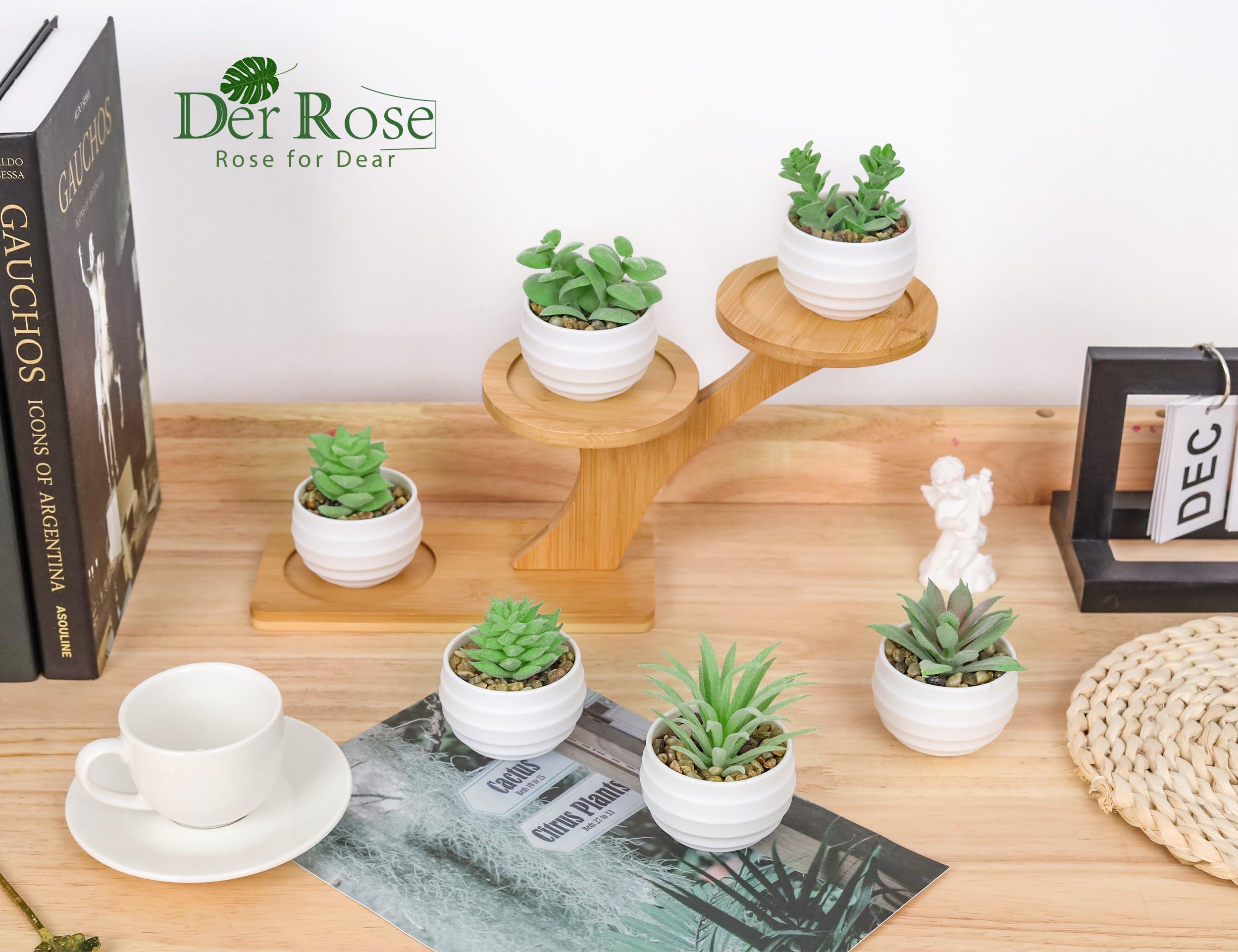 Der Rose Set of 6 Succulents Plants Artificial in Pots Small Fake Plants for Bedroom Aesthetic Living Room Office Shelf Bathroom Decor - Image 5