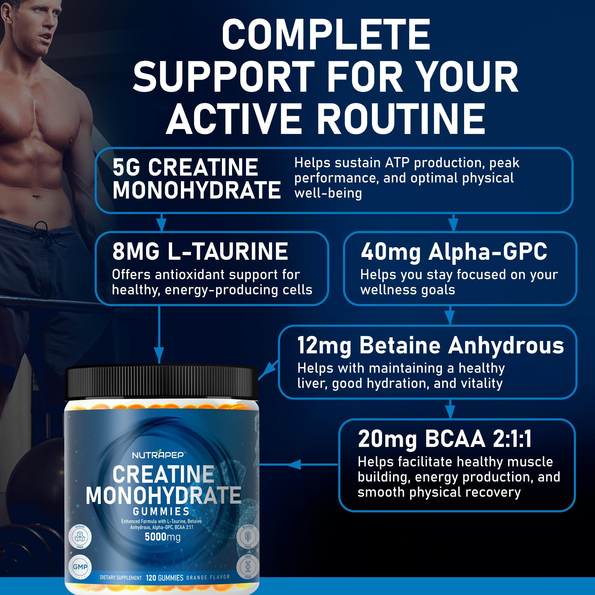 NutraPep Creatine Monohydrate Gummies 5g for Men Women - with L-Taurine Betaine Anhydrous Alpha-GPC BCAA 2:1:1 - Sugar-Free Gluten Free Chewable Creatine Supplement Bites - Image 2