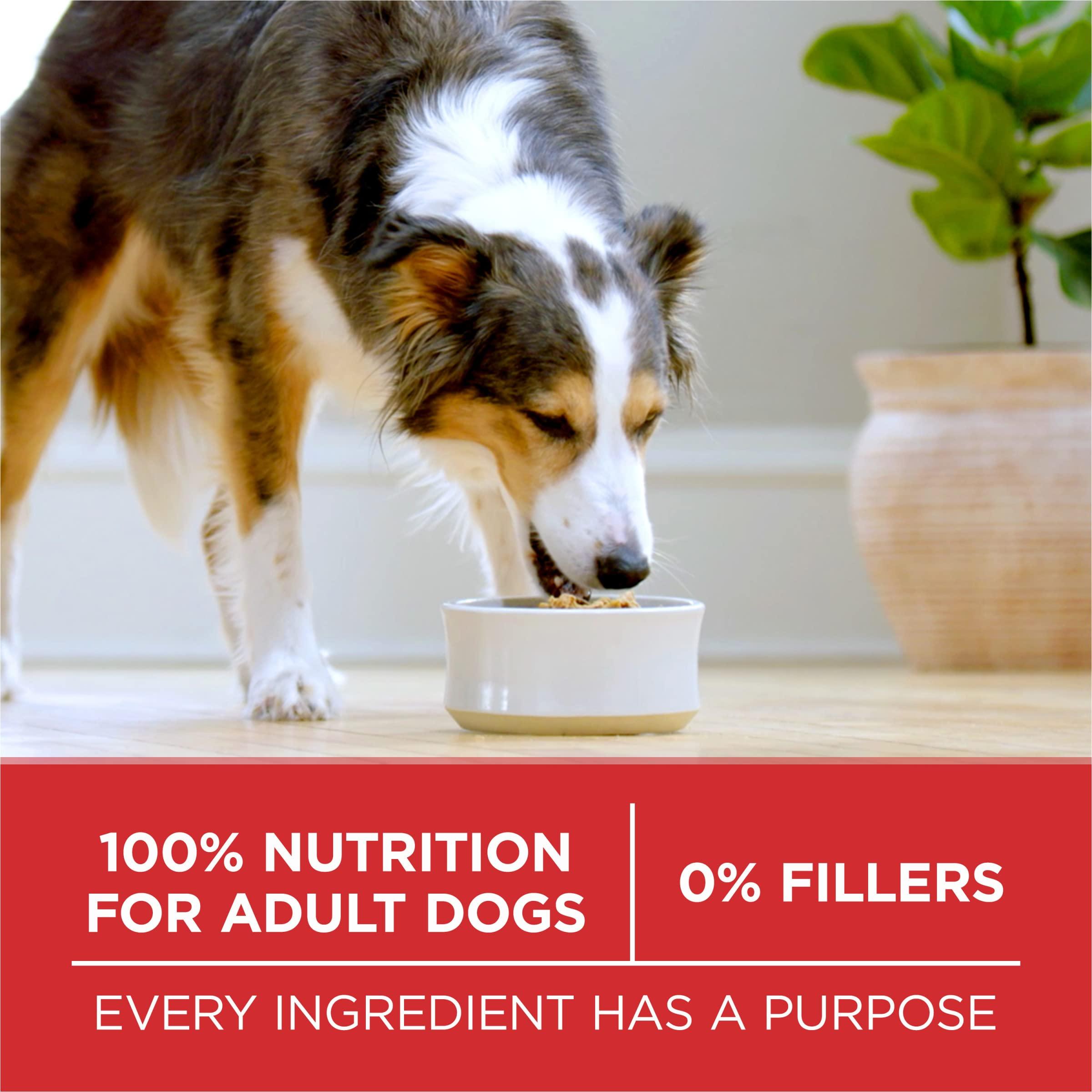 Purina ONE Chicken and Rice Formula Dry Dog Food - 8 lb. Bag - Image 8