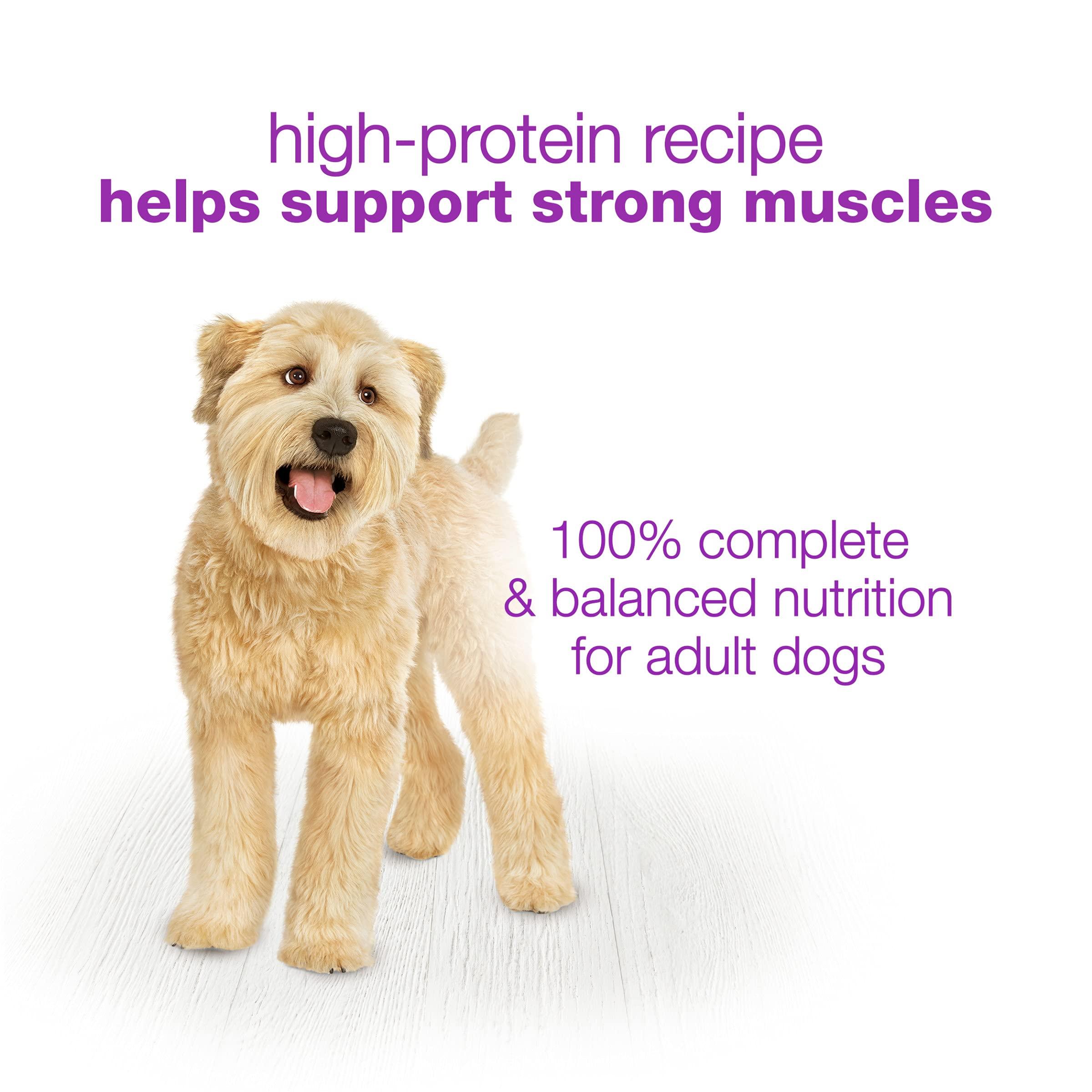 Purina Beneful Wet Dog Food Variety Pack, Chopped Blends - (12) 10 oz. Tubs - Image 10