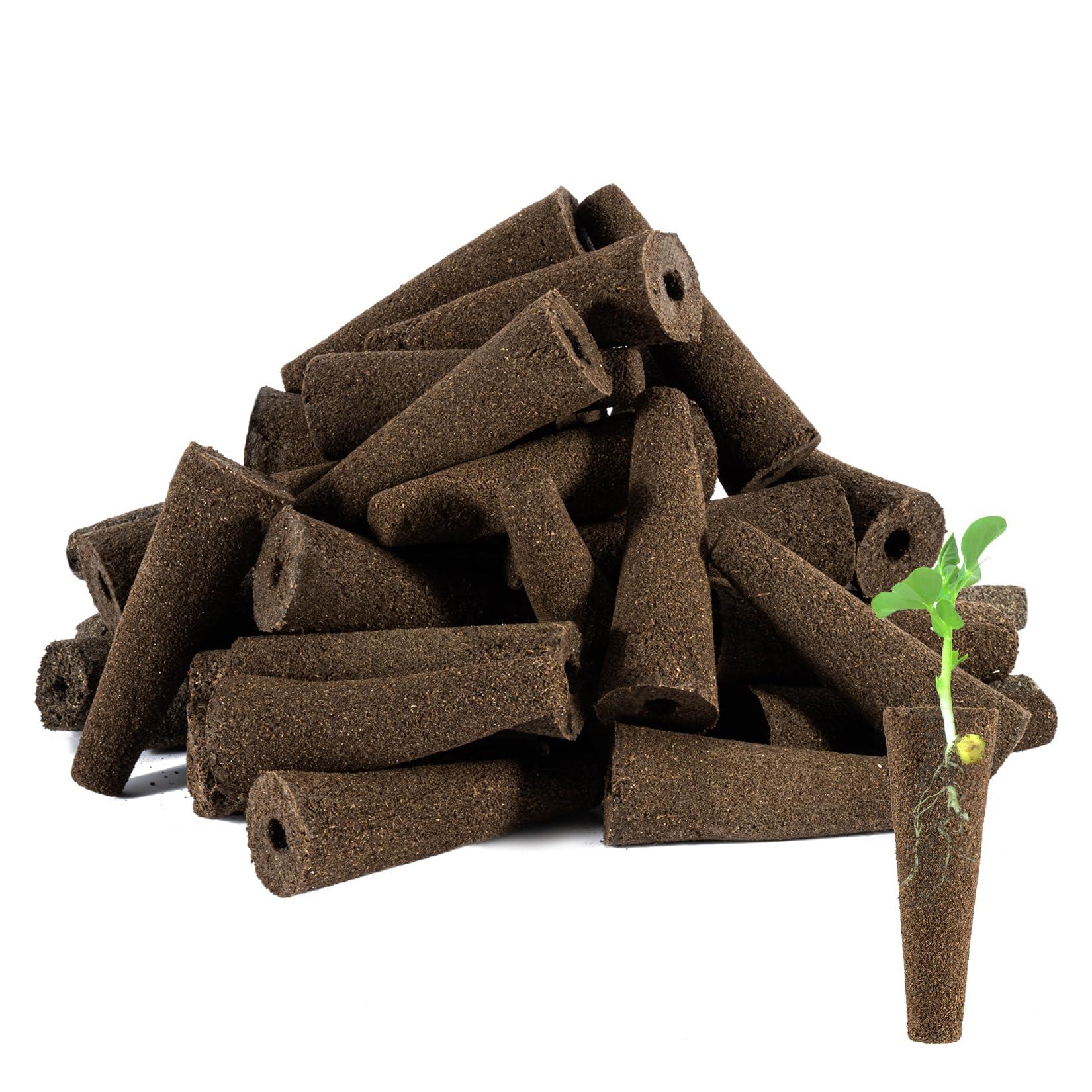 MAQIHAN 50 Grow Sponges for Hydroponics - Seed Pods for Garden Seed Starter Pods Growing System Plant for Seed Plugs Garden Cube Sponges Replacement