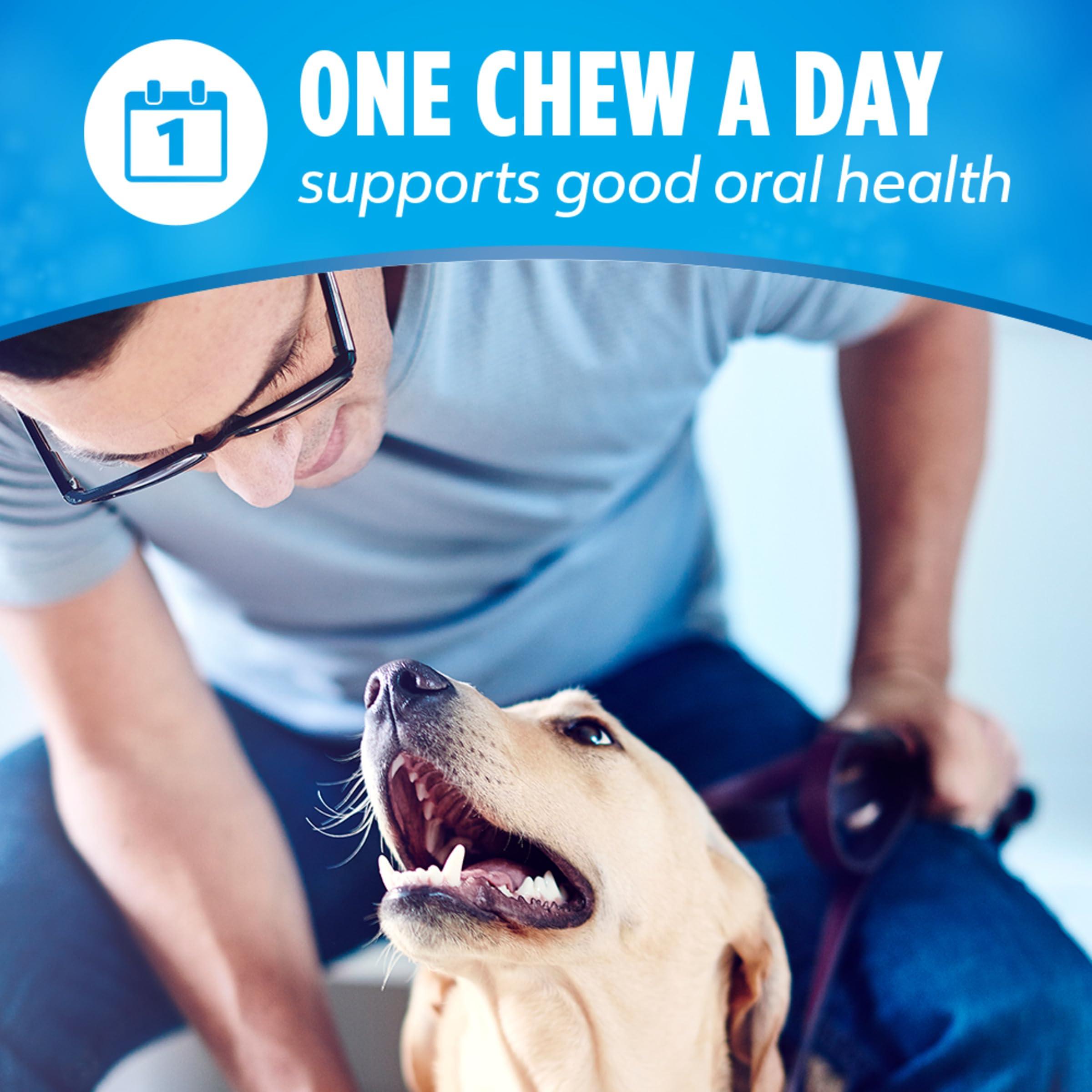 DentaLife Daily Oral Care Dog Treats for Small and Medium Dogs, Chewy Dental Treat to Freshen Breath and Fight Tartar, Chicken Flavor, 28.5 oz., 40 Chews - 40 ct. Pouch - Image 7
