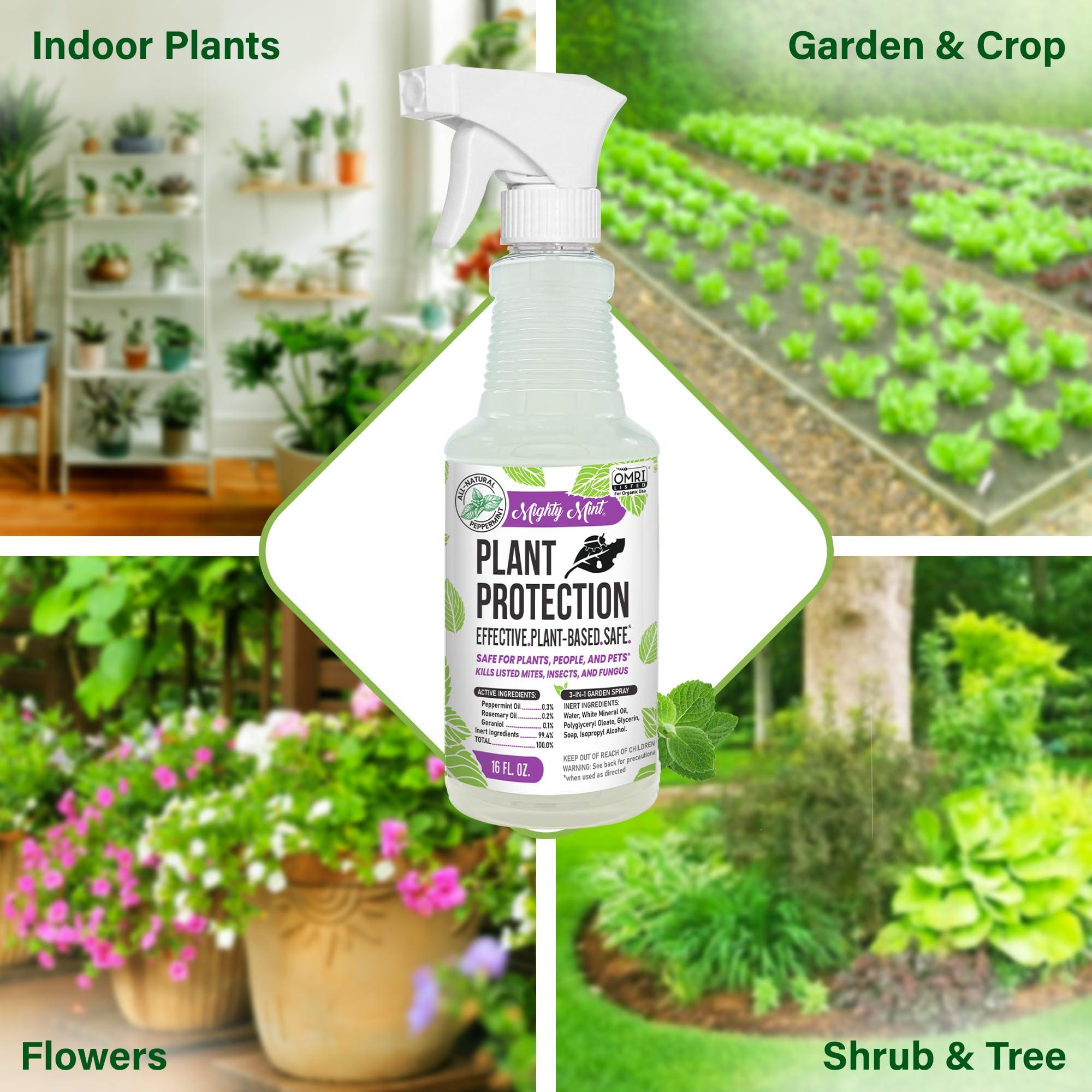 Mighty Mint Peppermint Plant Protection Spray for Insects, Gnats, Fungus, Mites, and Disease, 16 oz - Image 2