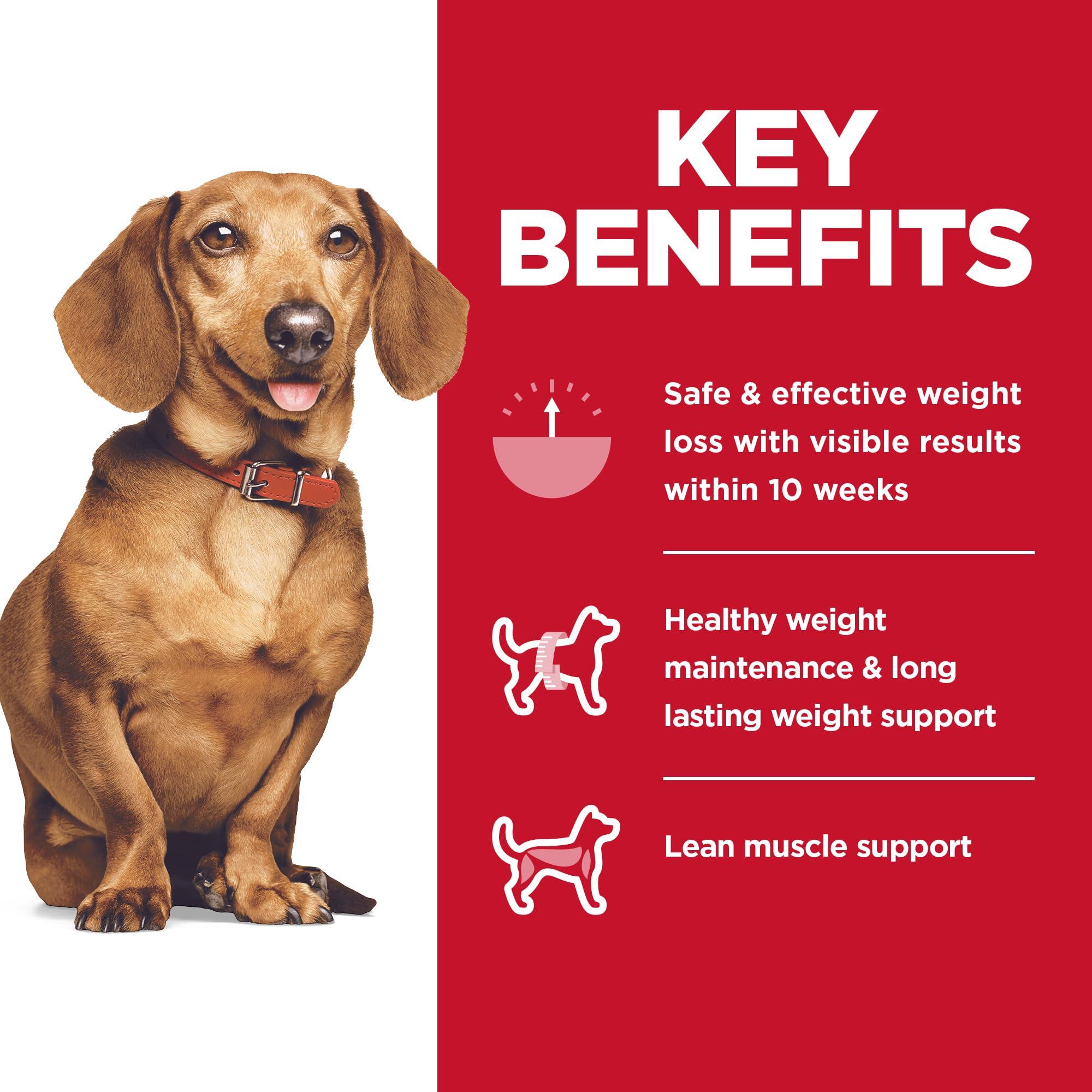 Hill's Science Diet Perfect Weight, Adult 1-6, Small & Mini Breeds Weight Management Support, Dry Dog Food, Chicken Recipe, 4 lb Bag - Image 4