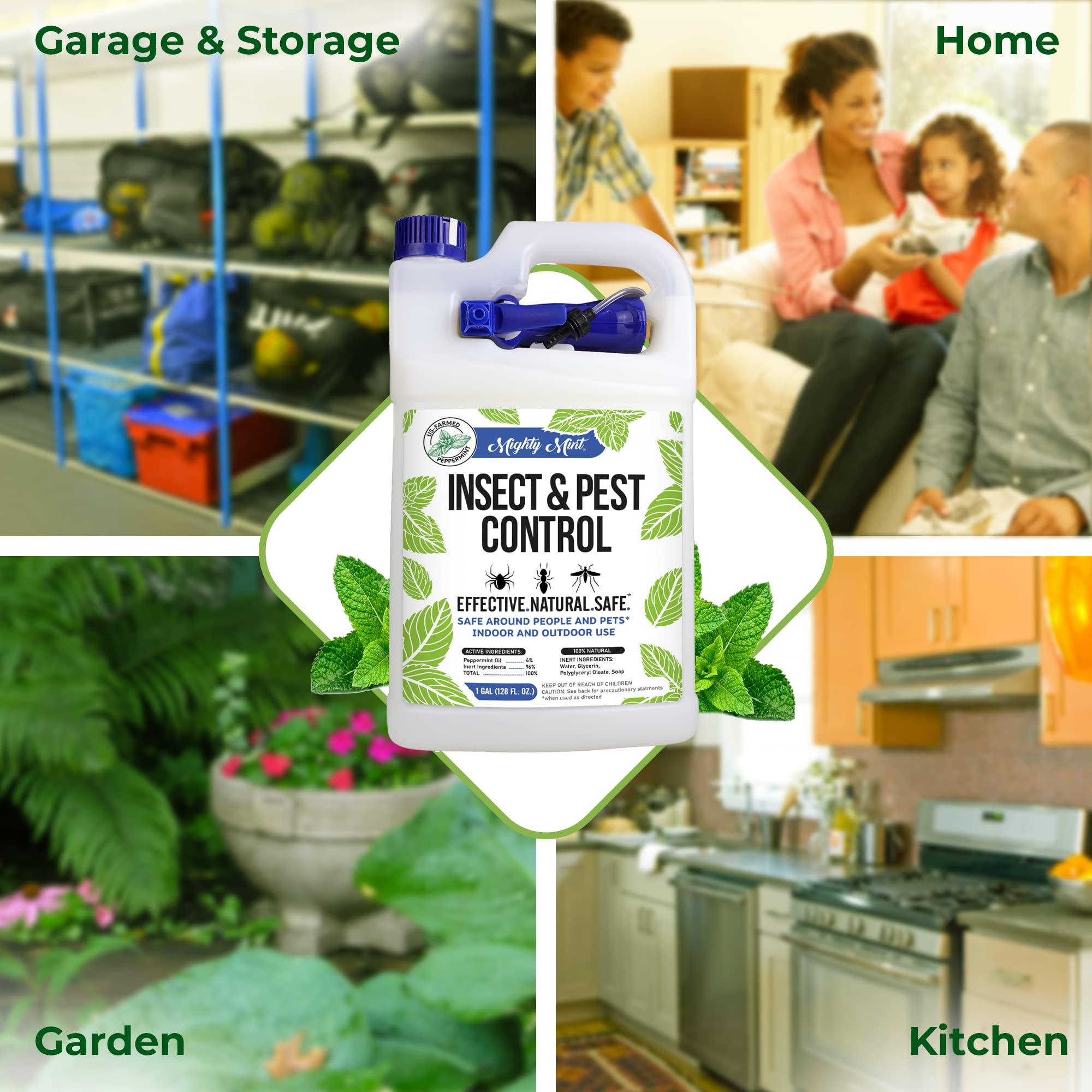 Mighty Mint Gallon (128 oz) Insect and Pest Control Peppermint Oil - Natural Spray for Spiders, Ants, and More - Image 6