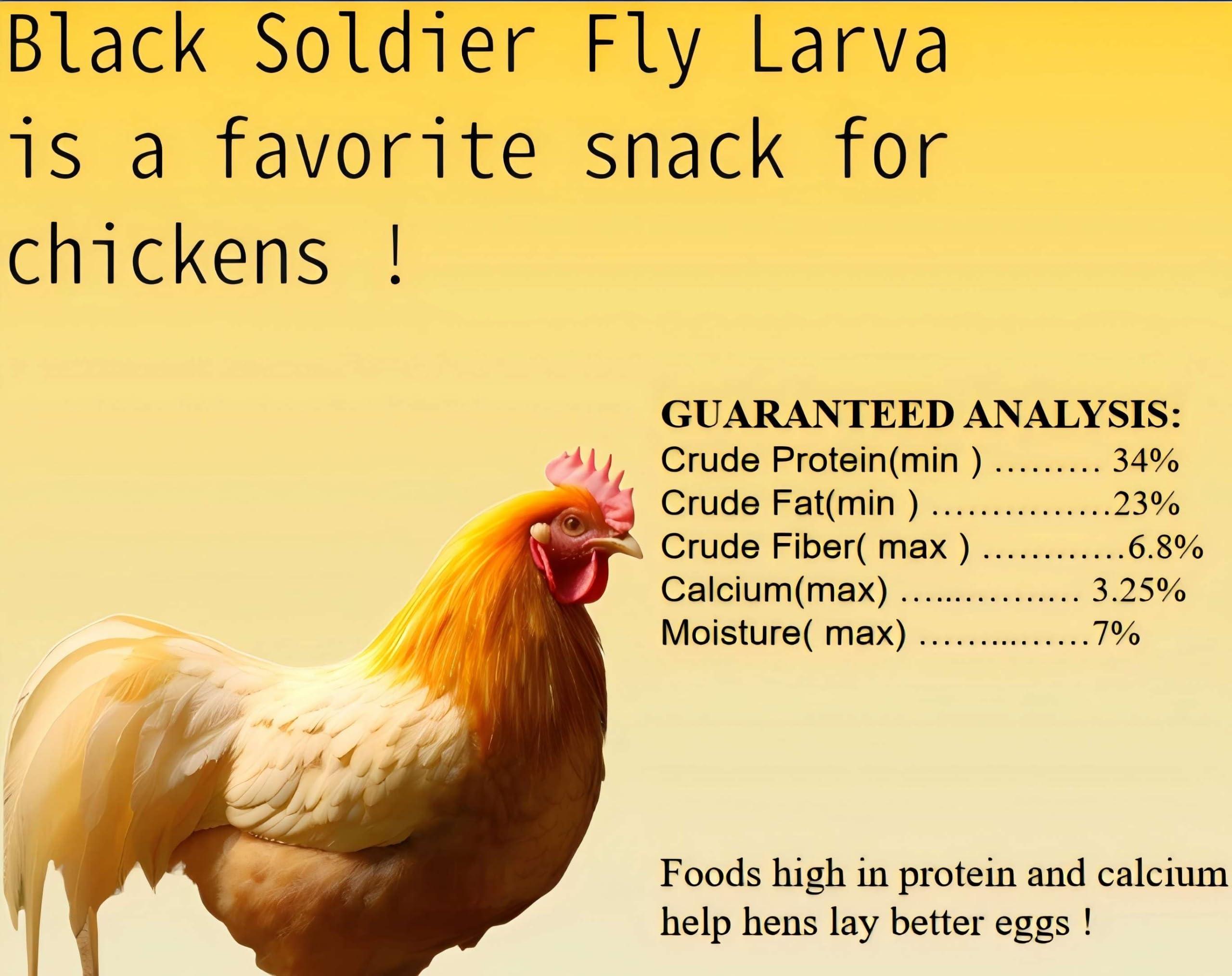 Classic Flock 11 lb Black Soldier Fly Larva - BSFL is a high Calc-Rich Chicken Feed with More Calcium Than mealworms.It is a Pure Natural Food That Provides high Protein for Chickens and Birds - Image 2