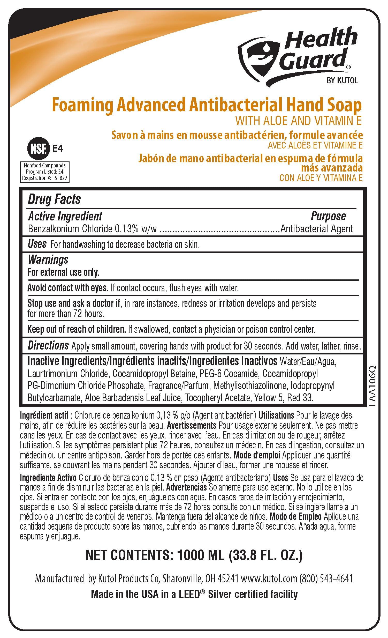 Health Guard Foaming Antibacterial Hand Soap #21352, for use with discontinued Member's Mark/Sam's Club/Ecolab soap dispenser, same formula as discontinued soap #915169, 4/1000 mL refill bags - Image 6