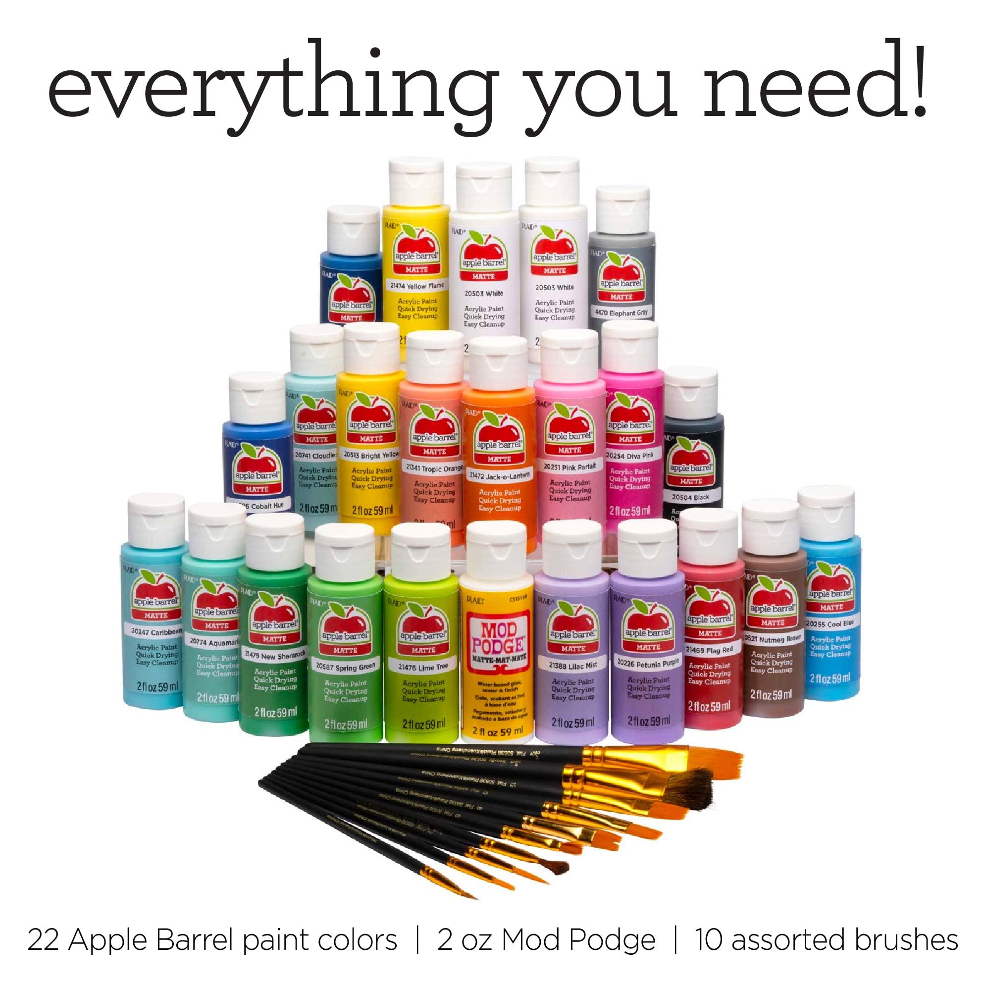Apple Barrel Art Lessons Paint and Brush Set, 34 pc Kit Including 23 2 fl oz Apple Barrel Acrylic Paint Colors, 1 2 fl oz bottle of Mod Podge Matte, 10 FolkArt Brushes, 6 Video Lessons And More - Image 9