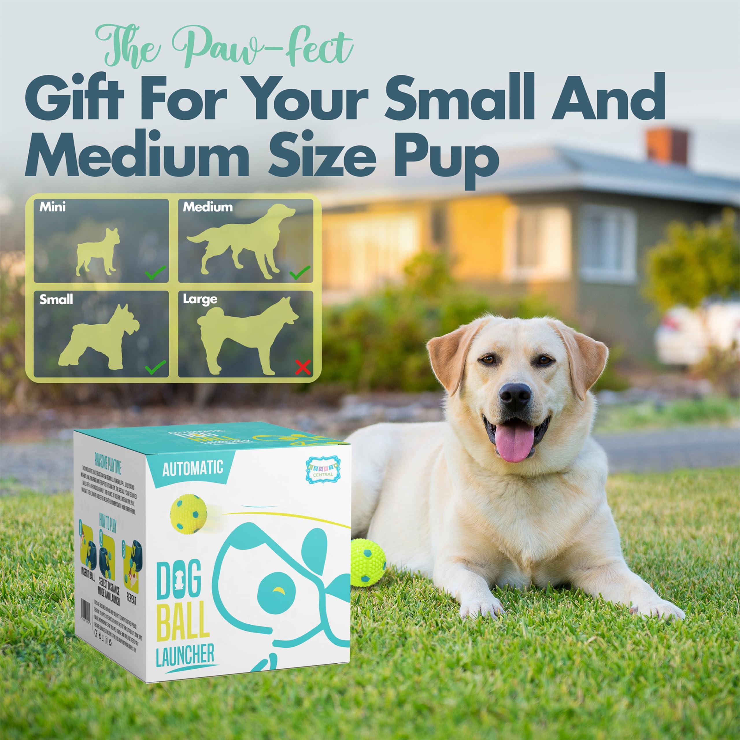 Automatic Dog Ball Launcher - Dog Ball Fetch Machine, Ball Thrower for Dogs, for Small to Medium Sized Dogs, Interactive Dog Toy with 6 Latex Balls, Plug-in & Battery Options - 4 Launch Distances - Image 4