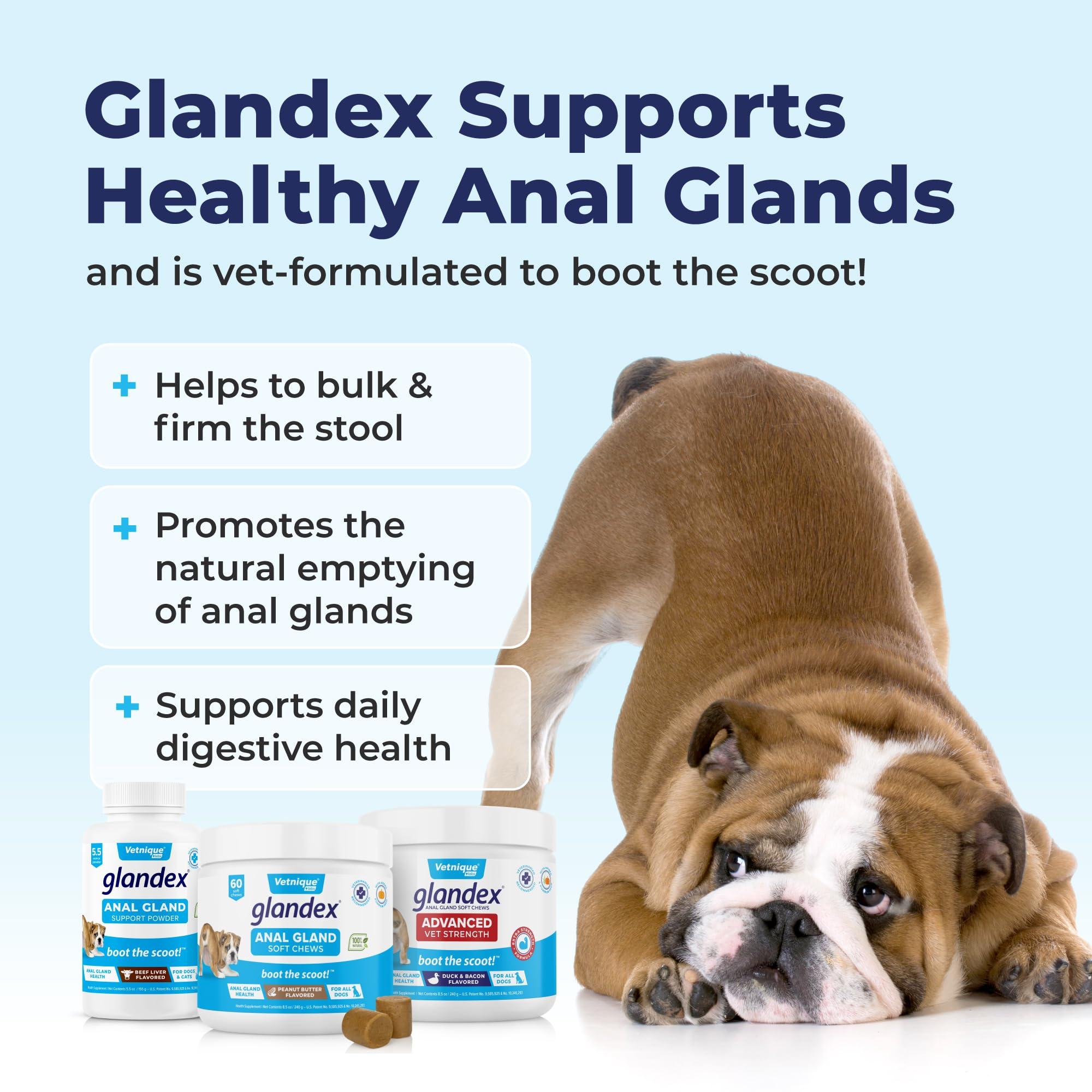 Vetnique Glandex Anal Gland Soft Chew Treats with Pumpkin for Dogs Digestive Enzymes, Probiotics Fiber Supplement for Dogs Boot The Scoot (Peanut Butter Chews, 120 Count) - Image 4