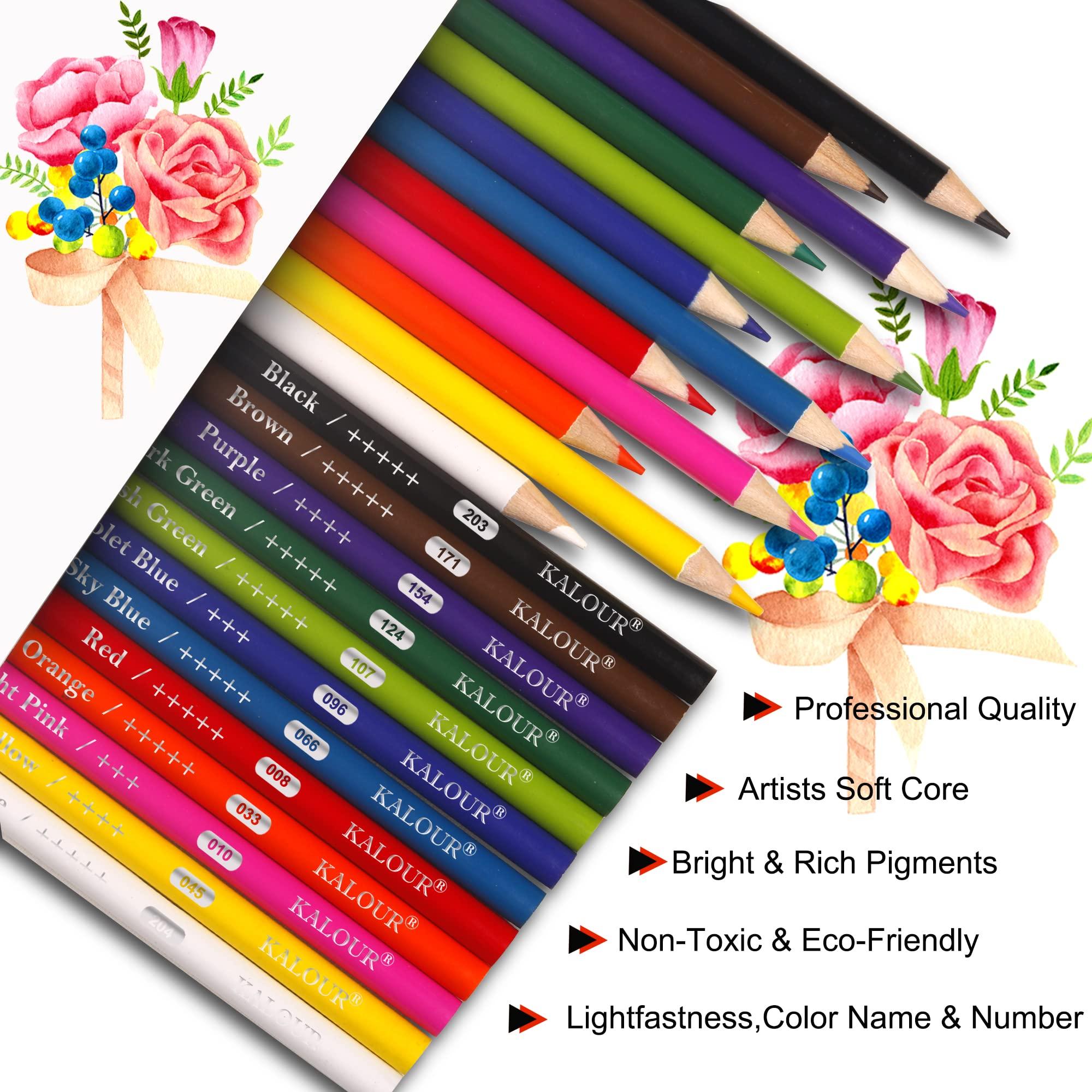 KALOUR Premium Colored Pencils Bulk,12 Assorted Vibrant Colors,240 Count Total,School Classroom Supplies For Kids Teachers,Pre-sharpened Artists Colored Pencils for Adult Coloring Book - Image 3