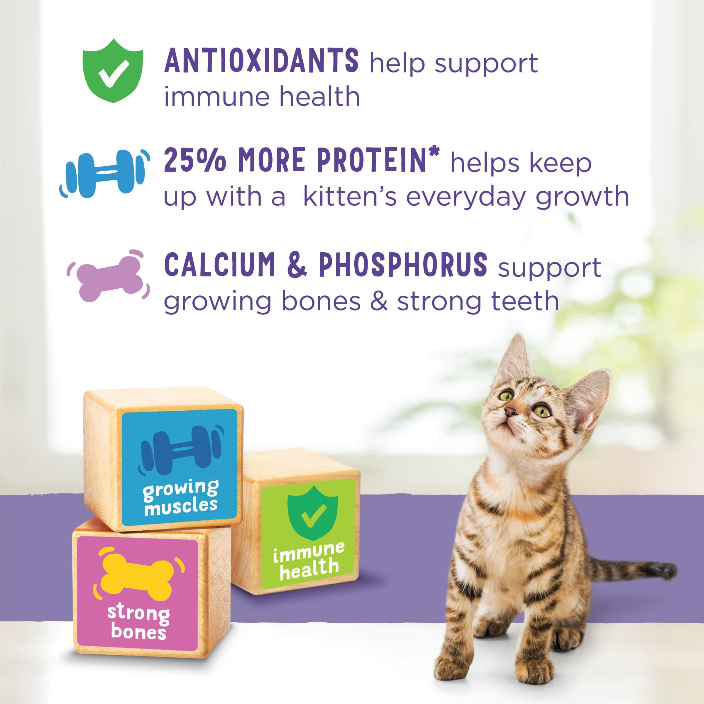 Purina Kitten Chow 14lb - Image 8
