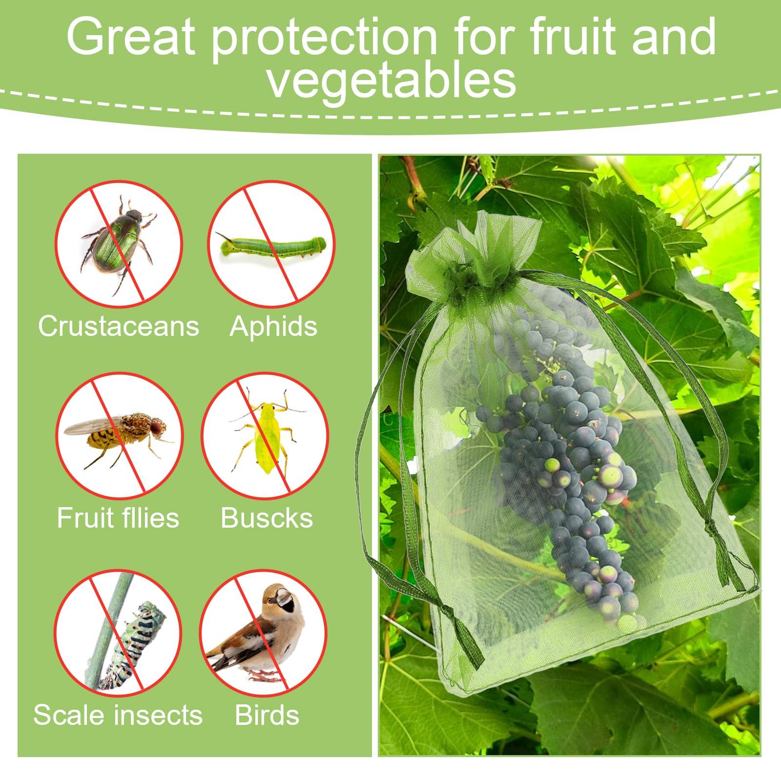 100 Pieces Green Fruit Protection Bags Fruit Protection Bags Fruit Netting Bags with Drawstring for Protecting Vegetable Net Cover Reusable Mesh Bag for Garden Apple Trees(15 * 20cm) - Image 7