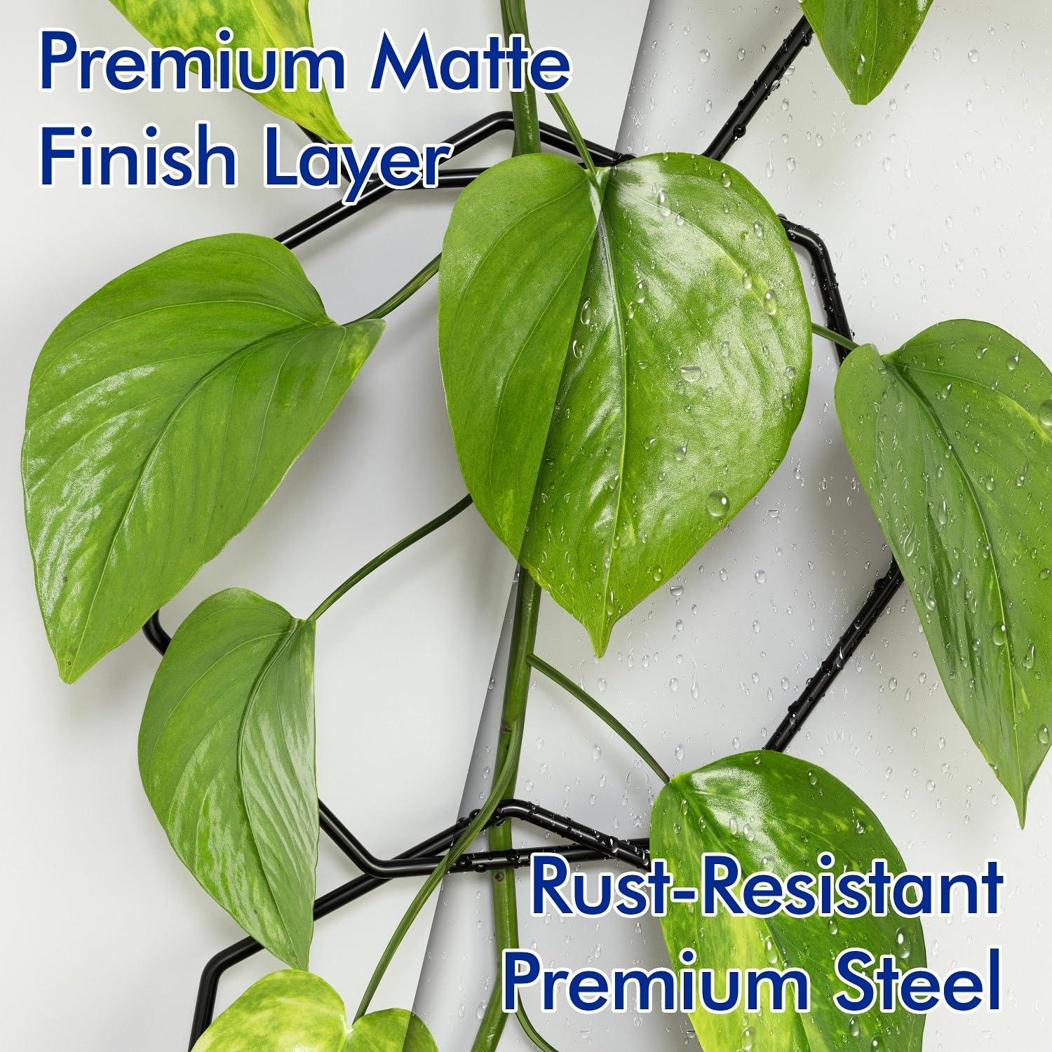 Chain Trellis for Climbing Plants - Versatile Indoor and Outdoor Accessories for Monstera, Pothos, Ivy, and Others | Support for Vines and Garden Wall Trellis (Black) - Image 6
