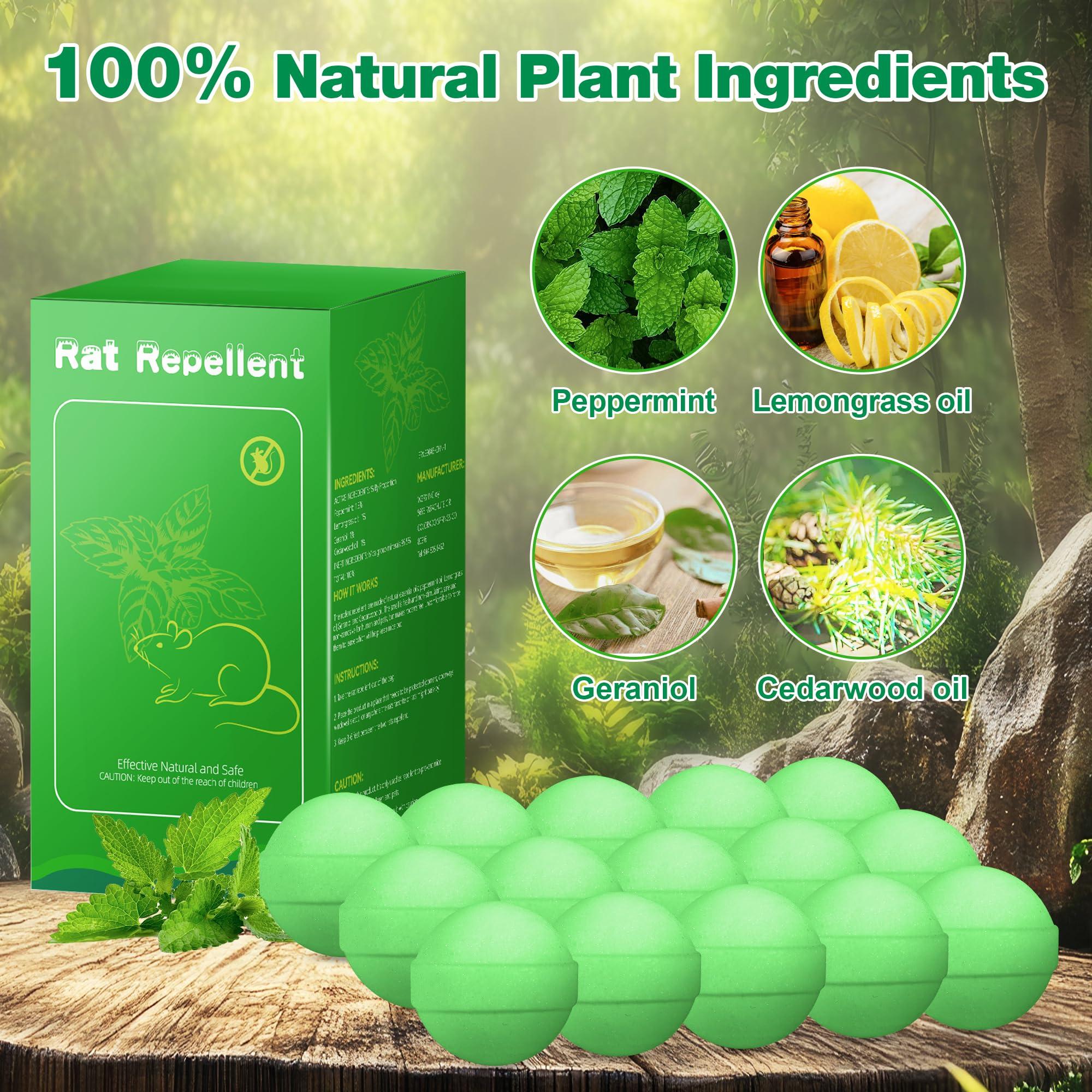 48 Pack Peppermint Oil Mice Repellent - Powerful Rat Repellent Ball for Car Engine Garage Garden House Indoor Outdoor, Rodent Deterrent, Keep Mouse Out Natural Repellent for Pest Rodent, Pet Safe﻿ - Image 2