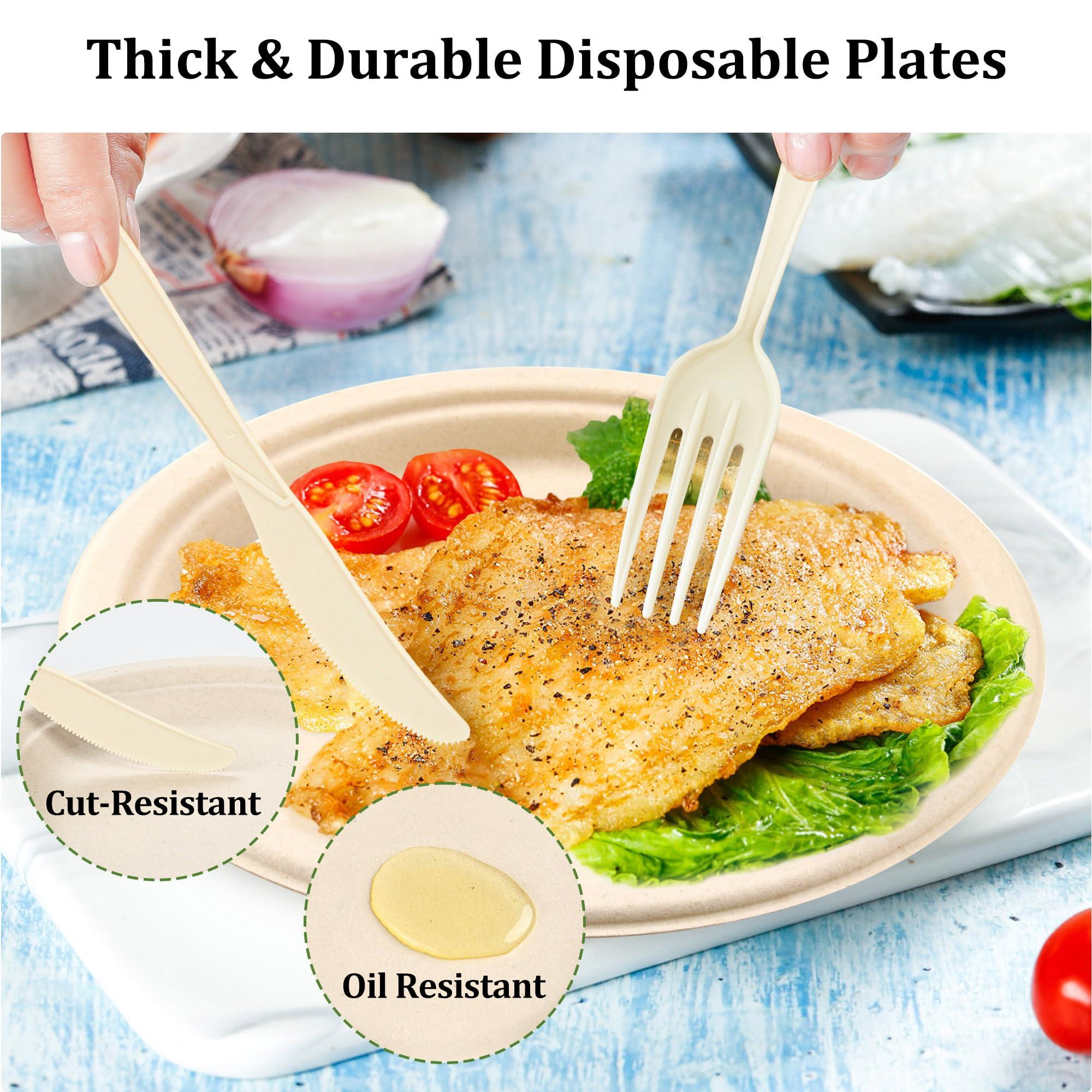 FEHHTO Compostable Paper Plates Set, 250PCS Disposable Heavy-Duty Sugarcane Plate and Eco-Friendly Utensil Biodegradable Dinnerware Plates, Extra Long Forks & Knives & Spoons for Party - Image 6