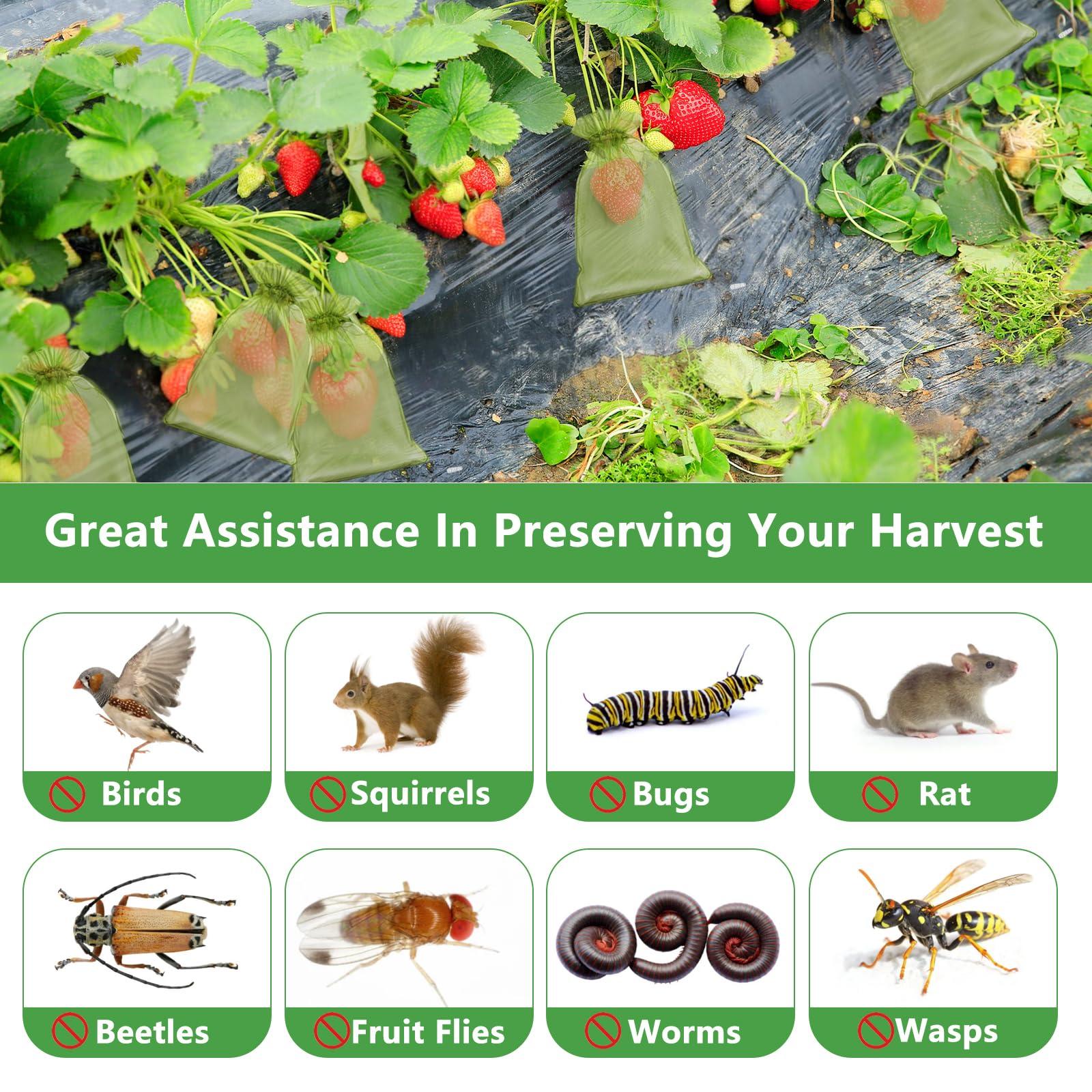 YIChongDan 100pcs Fruit Protection Cover Bags 4x6 inch Fruit Netting - Drawstring Mesh Protectors Bags Pest Barrier for Strawberry Blueberry Small Fruit Vegetables - Image 3