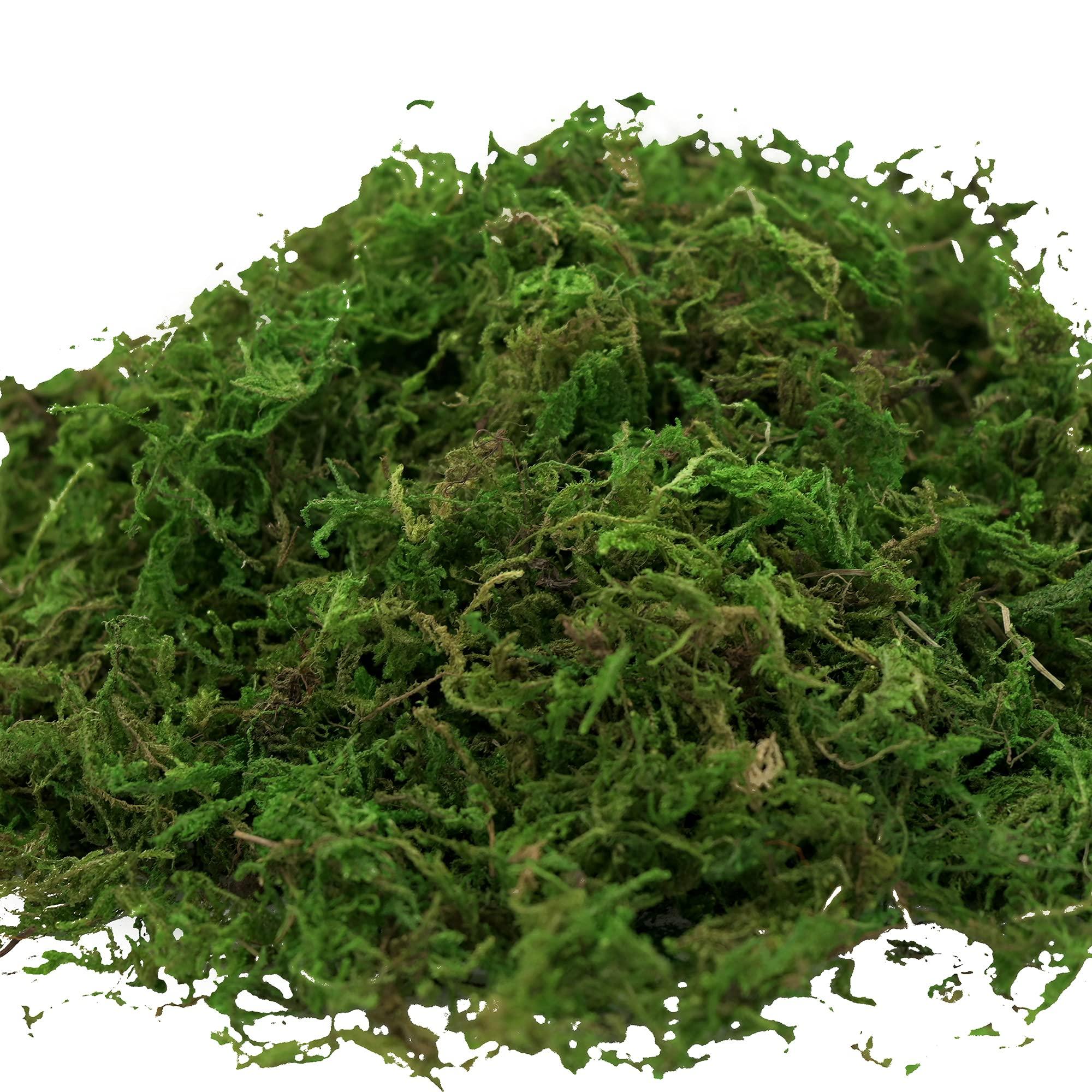 USMOLA Artificial Moss, 16OZ Fake Moss for Crafts, Decorative Centerpieces, Fairy Garden, Wedding Party Decor, Faux Potted Plants, 455gr (Fresh Green) - Image 4
