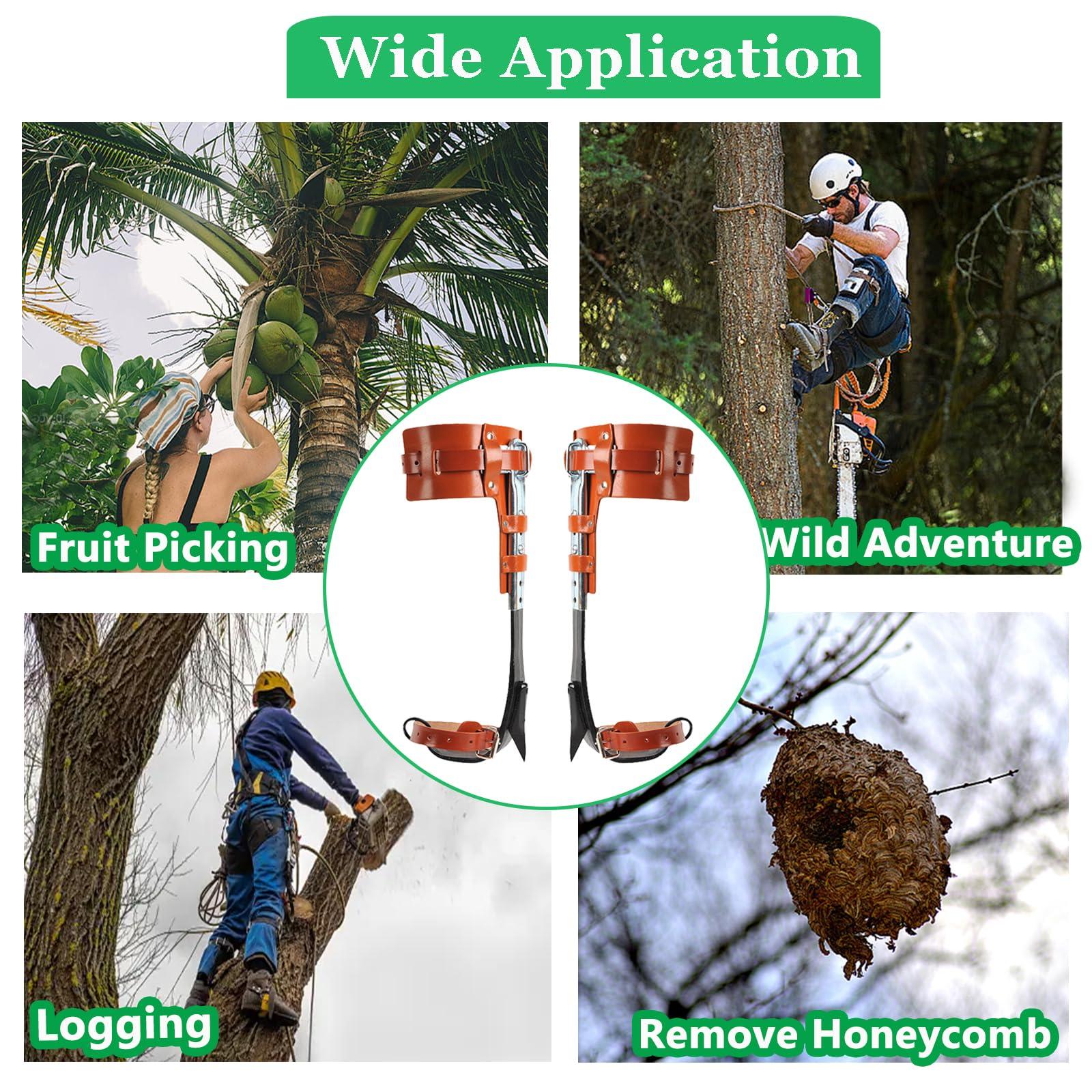 Tree Climbing Spikes Set,Tree Climbing Gear,Manganese Steel Claw,Adjustable Length Design,Tree Spikes for Tree Work,Hunting and Observation, Fruit Picking, Jungle Survival (Brown) - Image 8