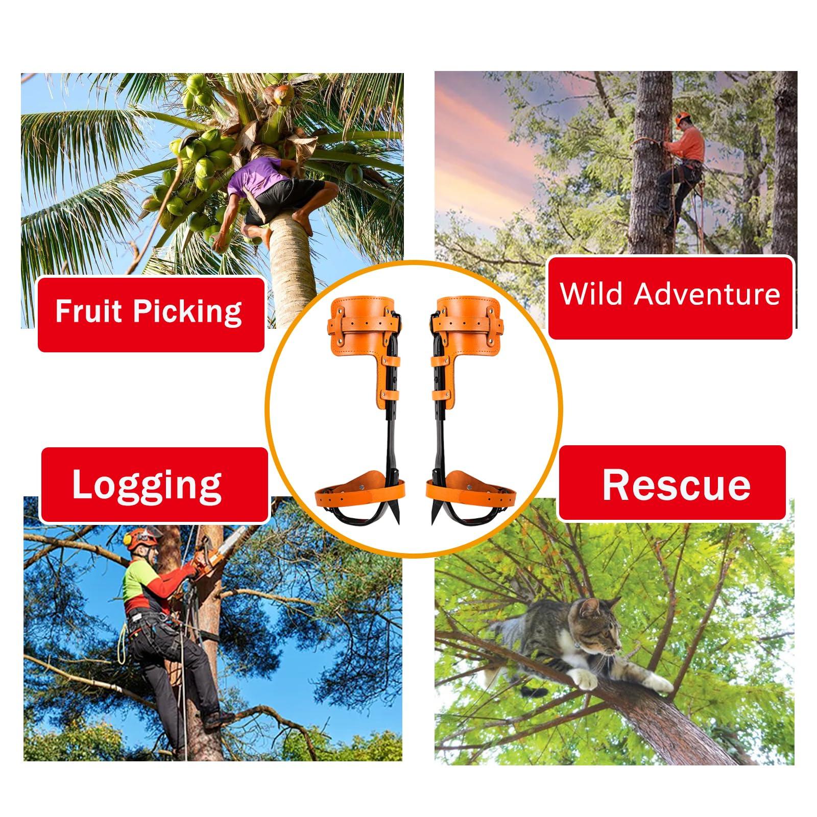 timiland Tree Climbing Spikes Set,Tree Climbing Gear，Rock Climbing Kit with Professional Accessories,Adjustable Length Design,Alloy Steel Pole,Hunting and Observation, for Climb,Fruit Picking - Image 7