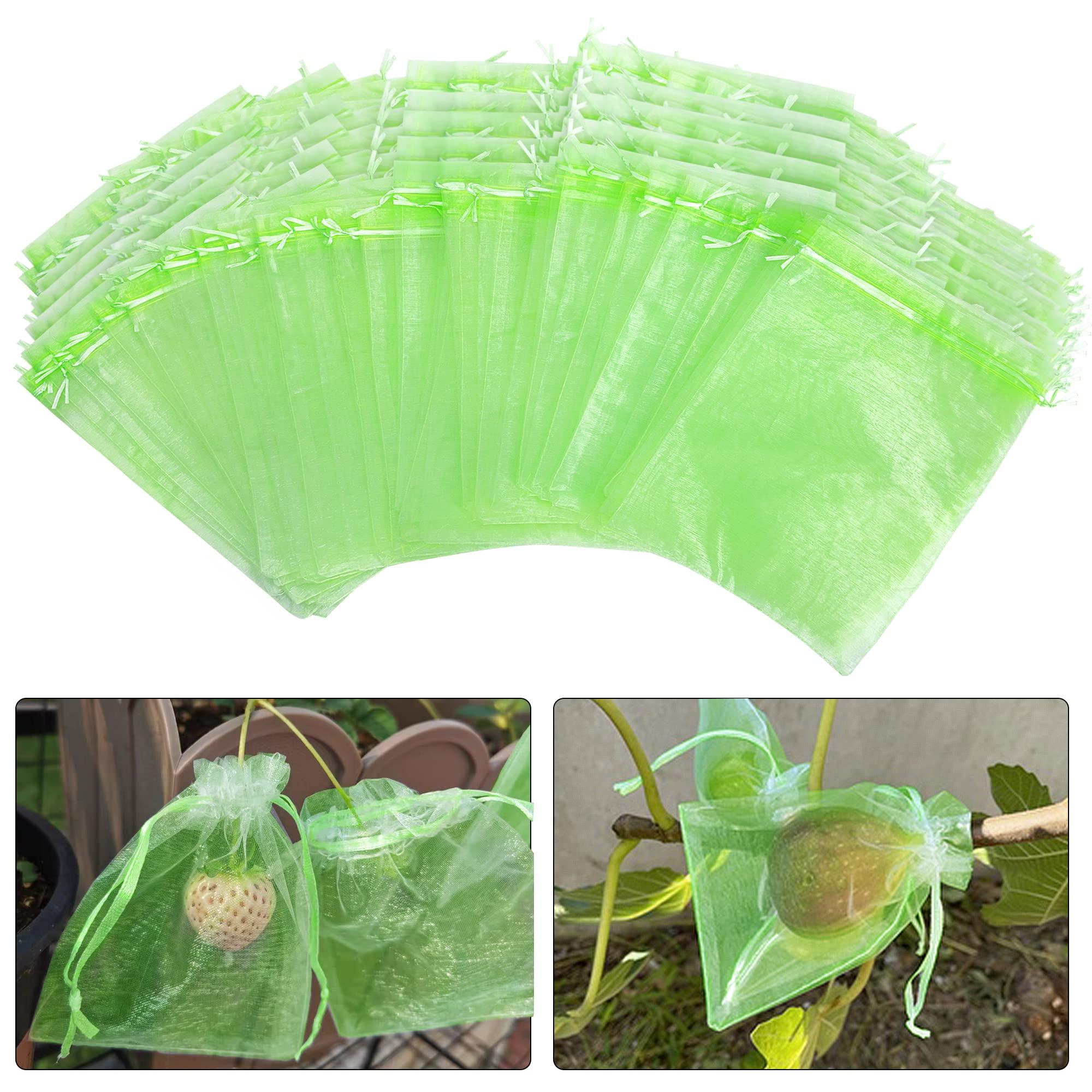 6x8 Inch 100 Pieces Green Fruit Protection Bags- Fruit Netting Bags with Drawstring,Garden Fruit Cover Mesh Bag to Protect Plants from Pest Birds Squirrels