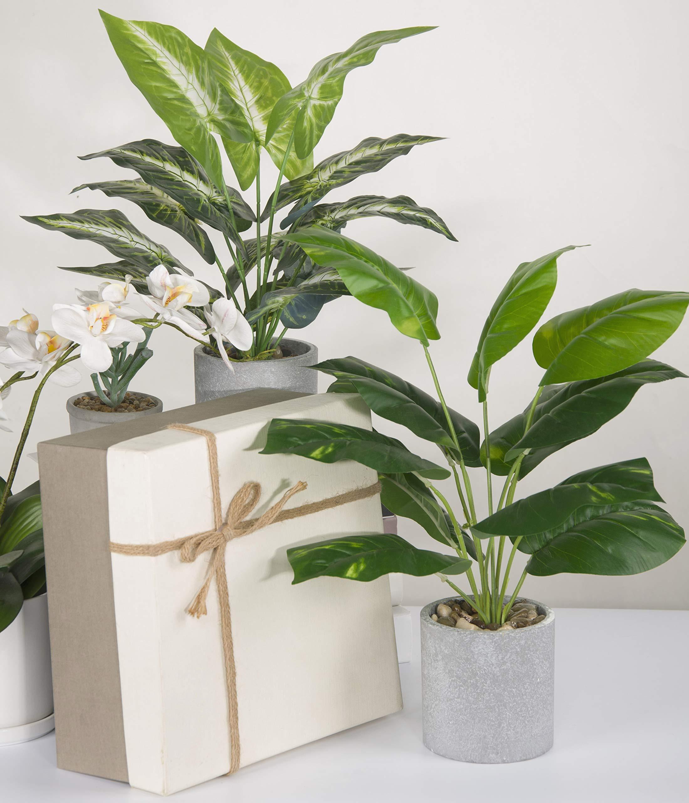 JC nateva 16" Small Fake Plants Artificial Tropical Faux Plants Indoor for Office Desk Shelf Bathroom Home Decor - Image 9