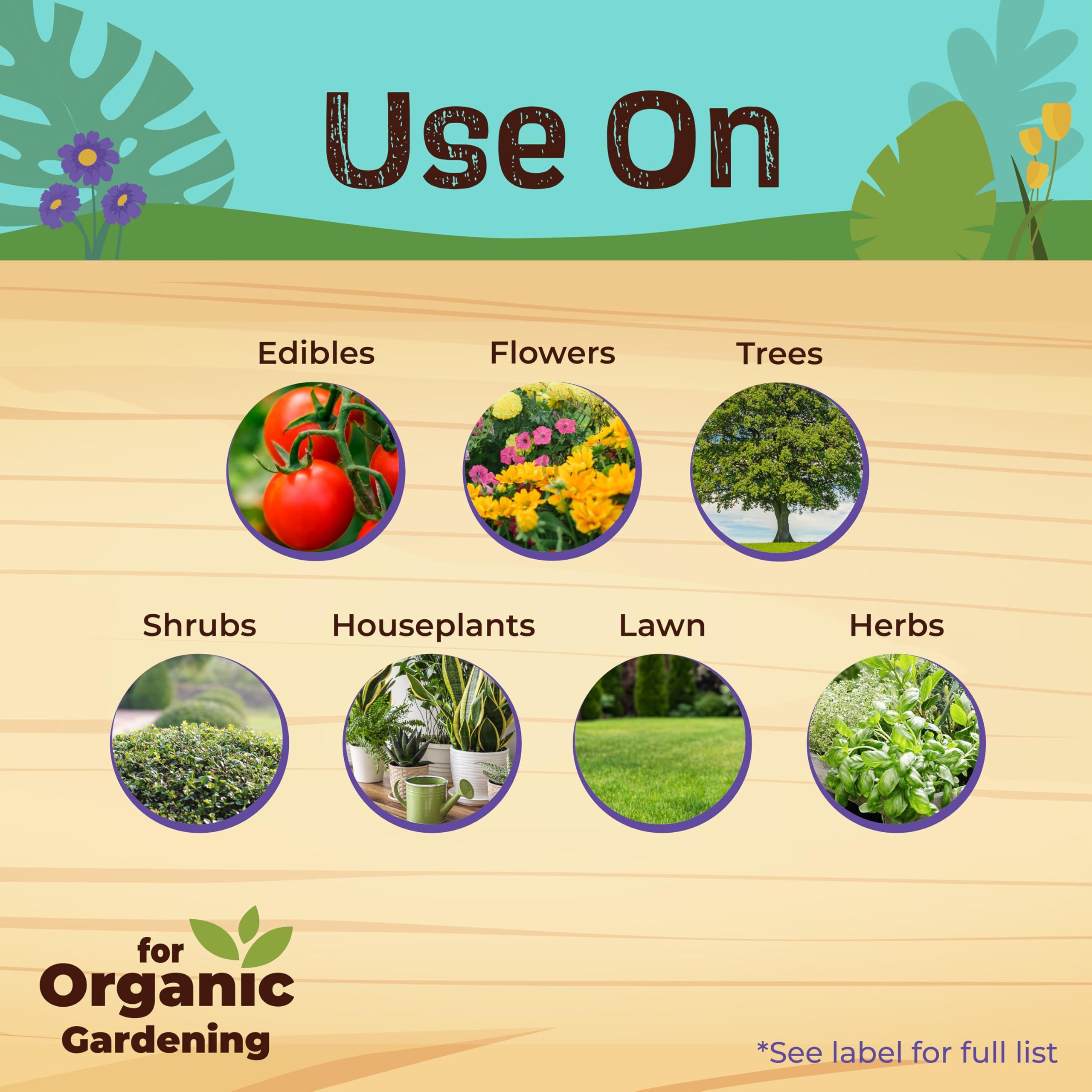 Bonide Captain Jack's Neem Max, 16 oz Ready-to-Spray Cold Pressed Neem Oil, Multi-Purpose Insecticide, Fungicide, Miticide and Nematicide for Organic Gardening - Image 4