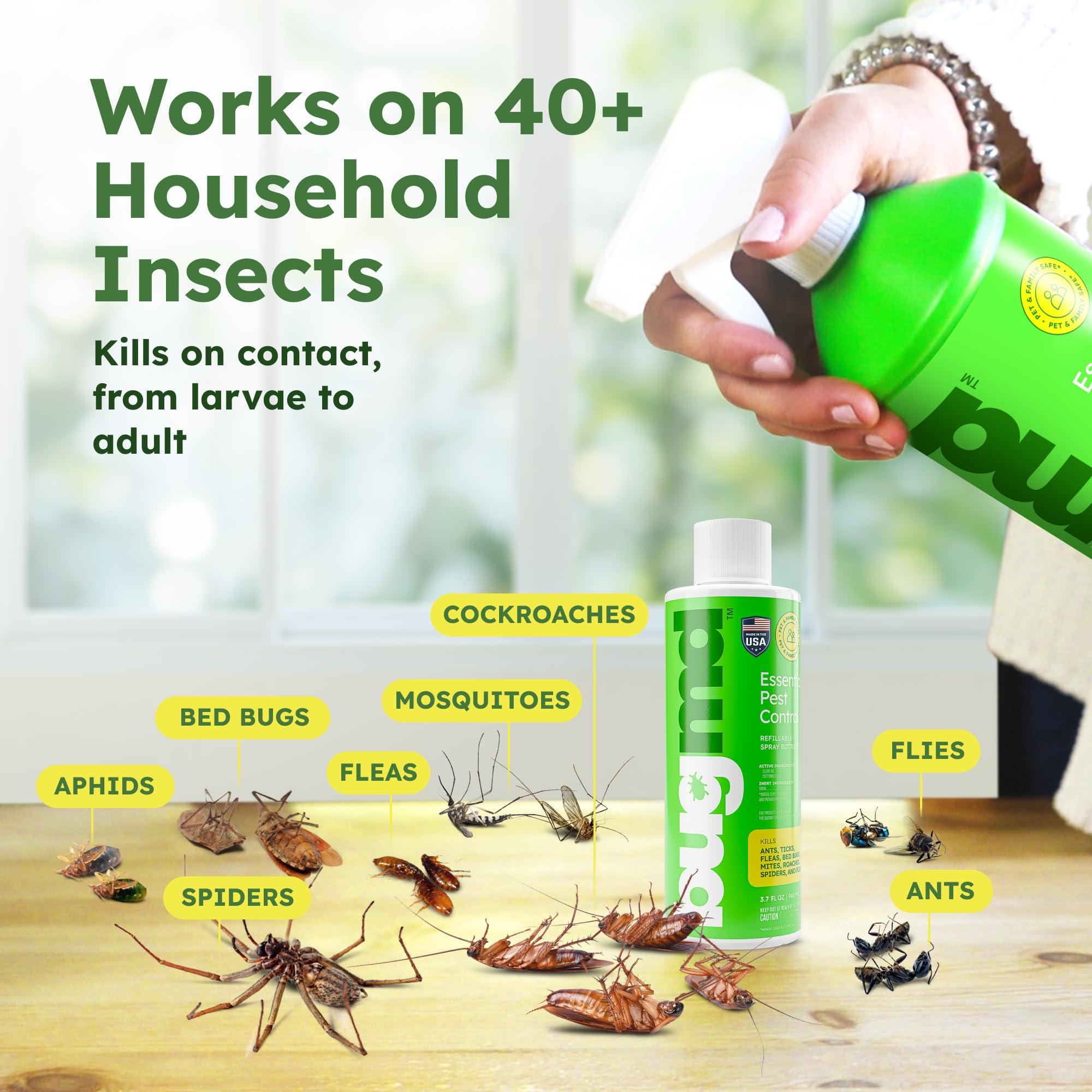BugMD Ant Killer & Bug Spray Concentrate 3.7 oz and Empty Refillable Spray Bottle 32 oz. - Image 6