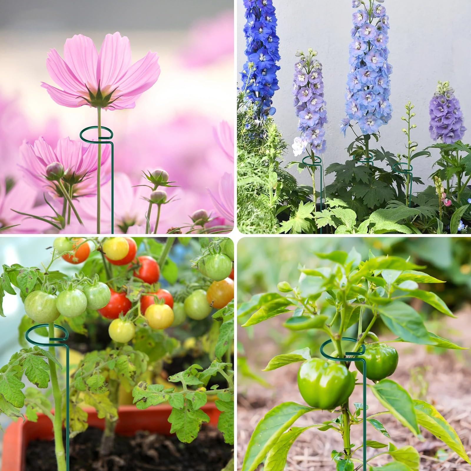 FEED GARDEN 16 Inch 12 Pack Plant Support Stakes, Metal Garden Flower Stakes and Supports for Outdoor Plants, Plant Stem Support with 24 Twist Ties for Amaryllis Lily Rose Peony Tomatoes Gladiolus - Image 7