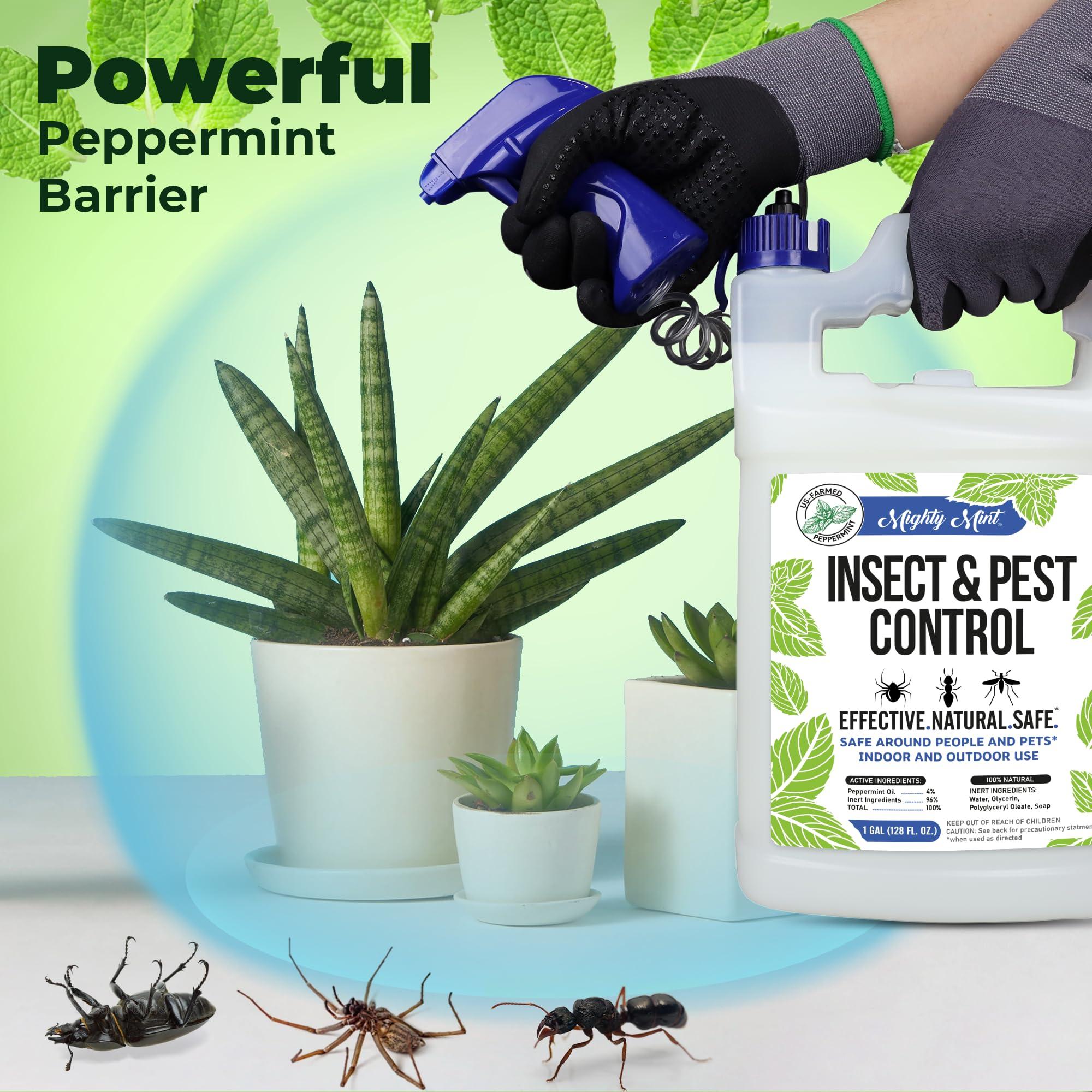 Mighty Mint Gallon (128 oz) Insect and Pest Control Peppermint Oil - Natural Spray for Spiders, Ants, and More - Image 3