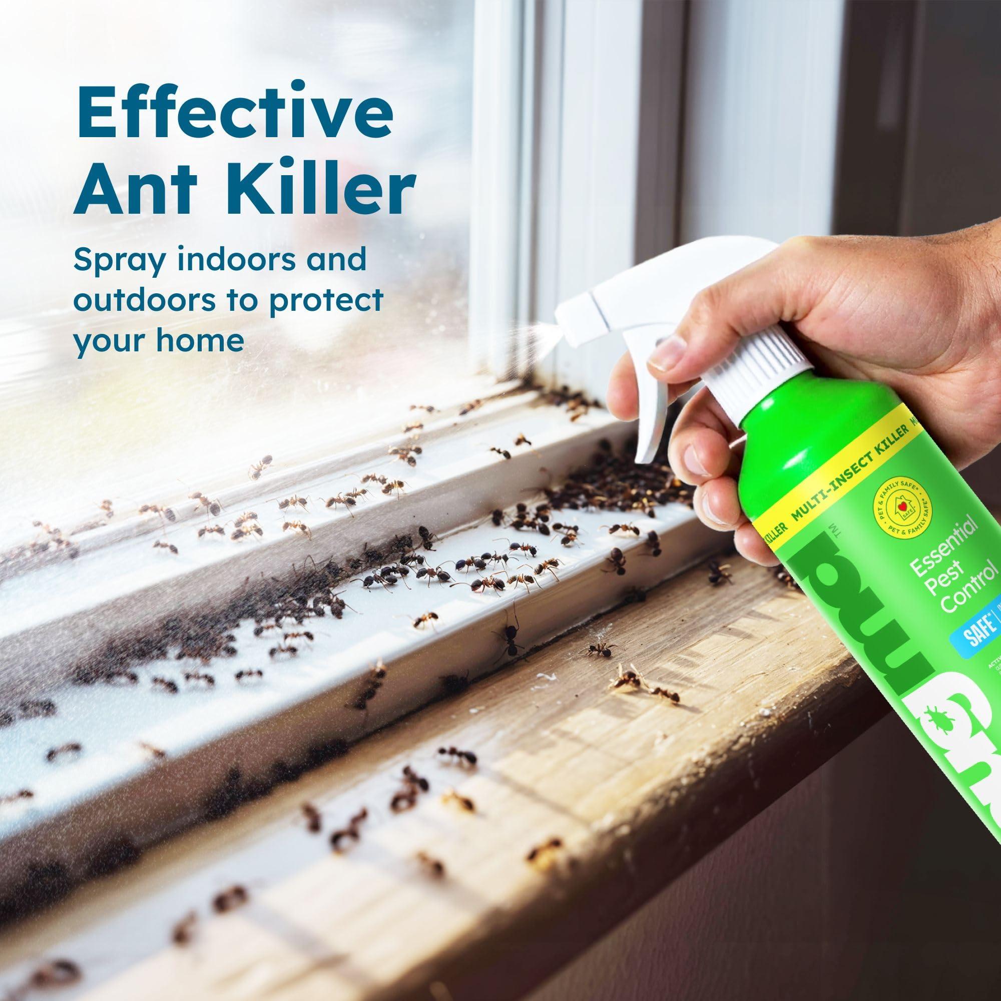 BugMD 30 oz Ant Killer & Bug Spray - Roach and Cockroach Killer Indoor, Spider and Flea Spray for Home, Fly and Insect Defense, Natural, Safe with Essential Oils, Plant-Powered, Pest Control Pack of 2 - Image 3