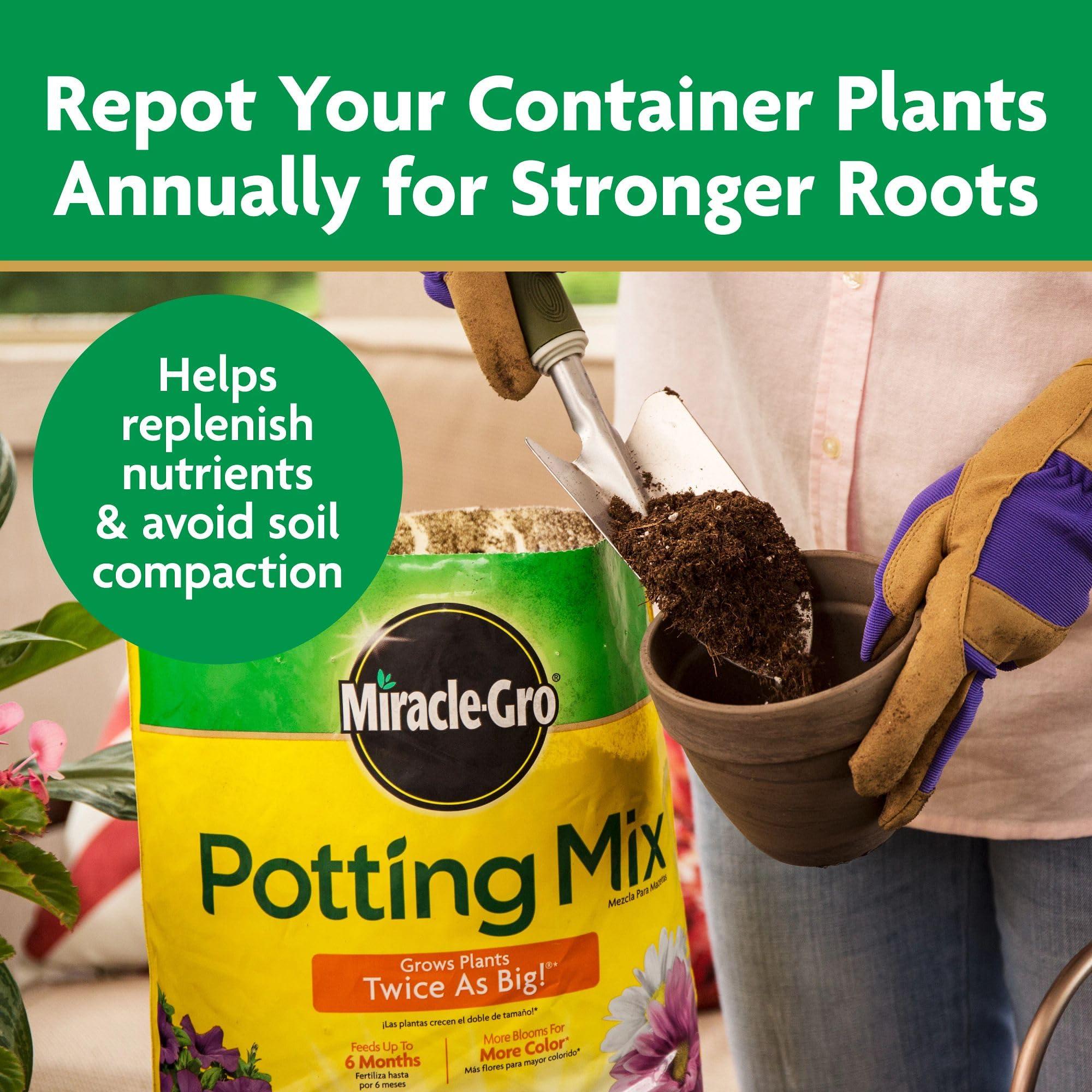 Miracle-Gro Potting Mix, For Container Plants, Flowers, Vegetables, Shrubs, Annuals, Perennials, Feeds up to 6 Months, 8 qt., 2-Pack - Image 8