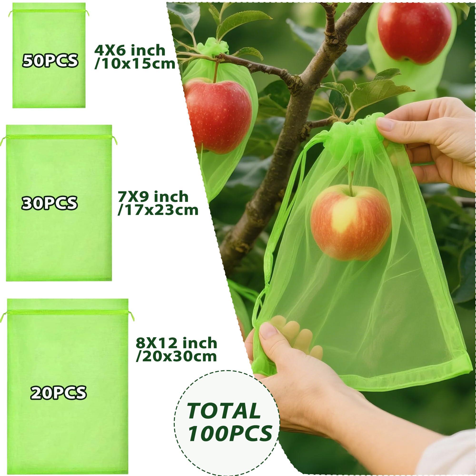 DMIMIA Fruit Protection Bags 100 pcs, Reusable Mesh Bags for Fruit Trees 3-Size, Breathable Covers to Protect Fruits from Pests & BirdsGreen - Image 2