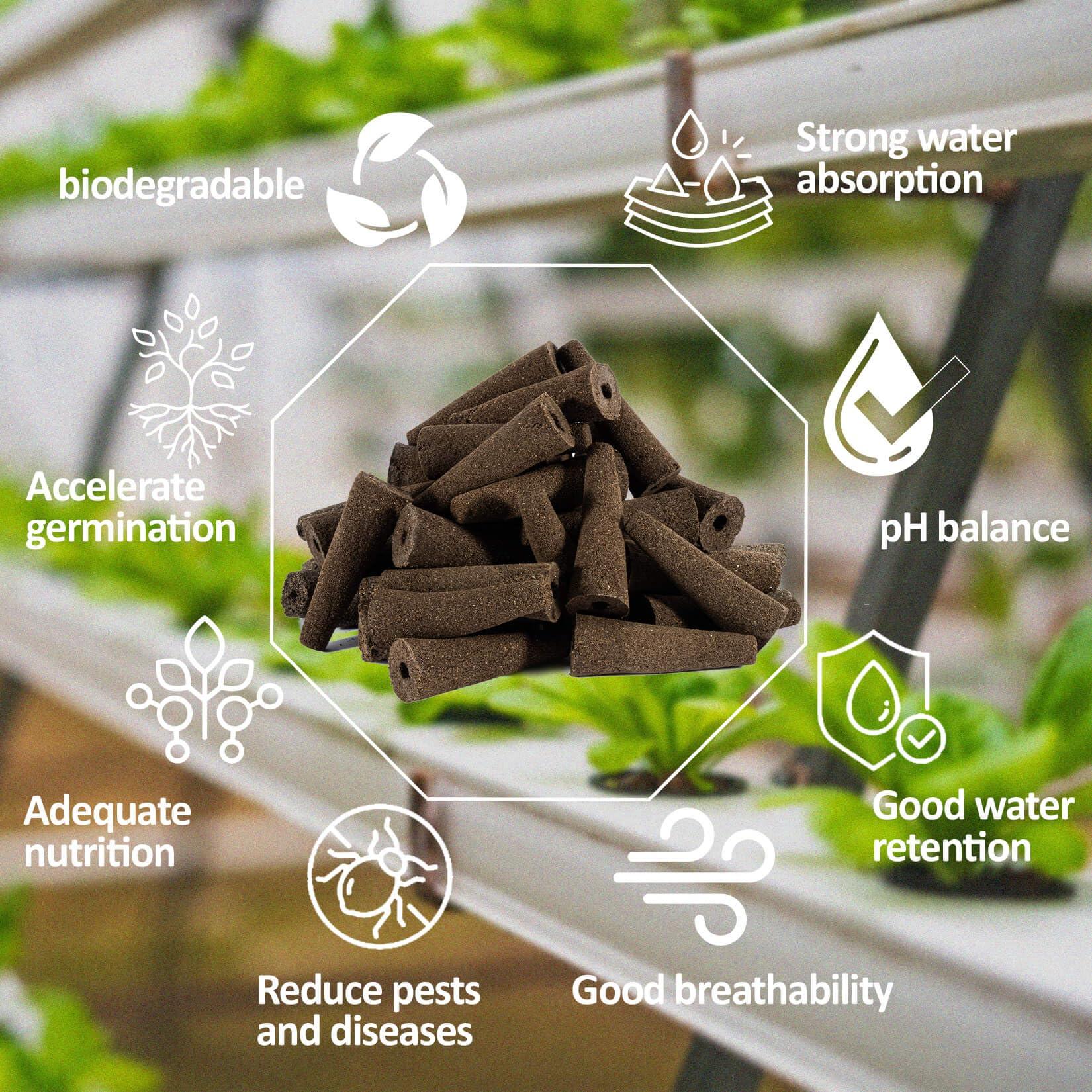 MAQIHAN 50 Grow Sponges for Hydroponics - Seed Pods for Garden Seed Starter Pods Growing System Plant for Seed Plugs Garden Cube Sponges Replacement - Image 4