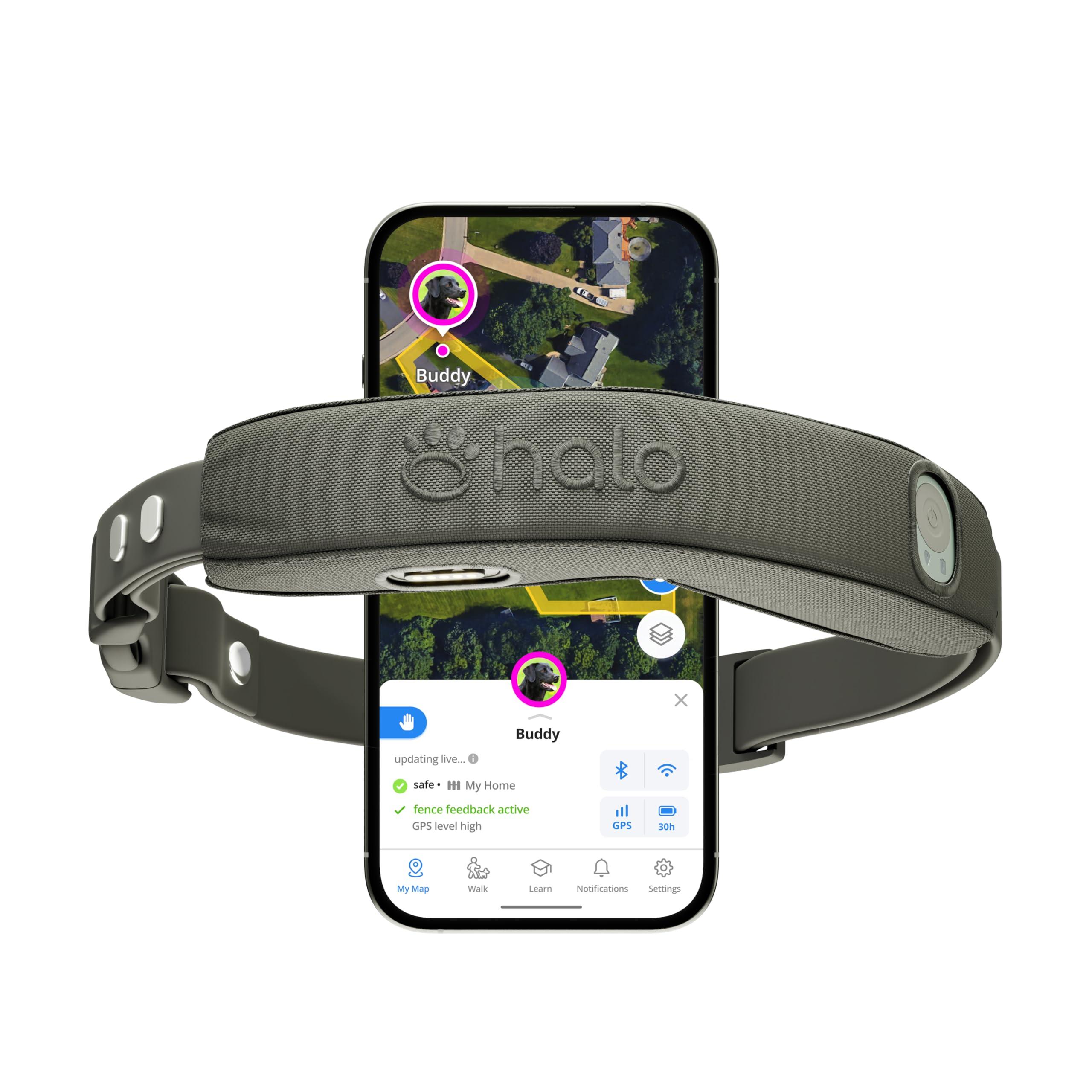 Halo Collar 4, All New GPS Wireless Dog Fence & Dog Training Collar with GPS Tracker, Subscription Required, Waterproof, One Size, Graphite
