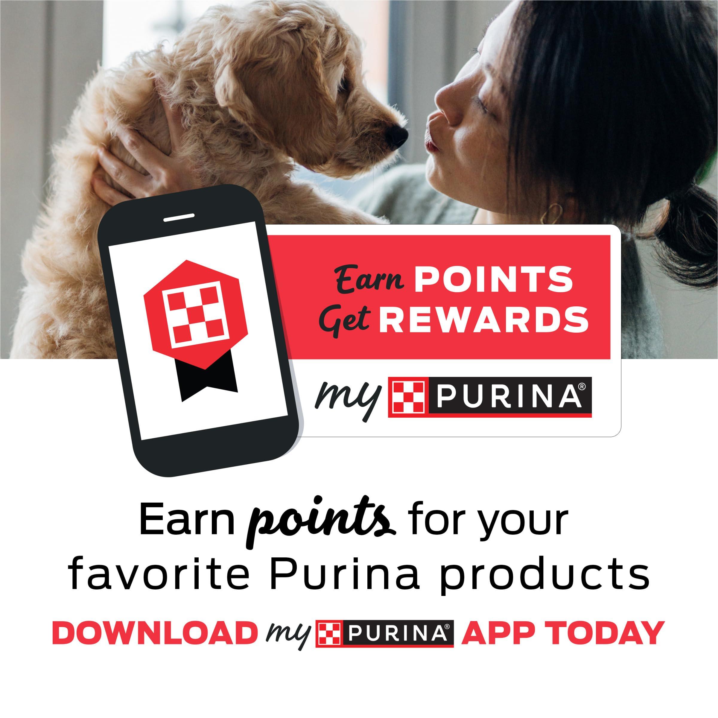 Purina Beyond Grain Free White Meat Chicken and Egg Recipe Natural Cat Food High Protein Cat Food Dry Formula - 5 lb. Bag - Image 3